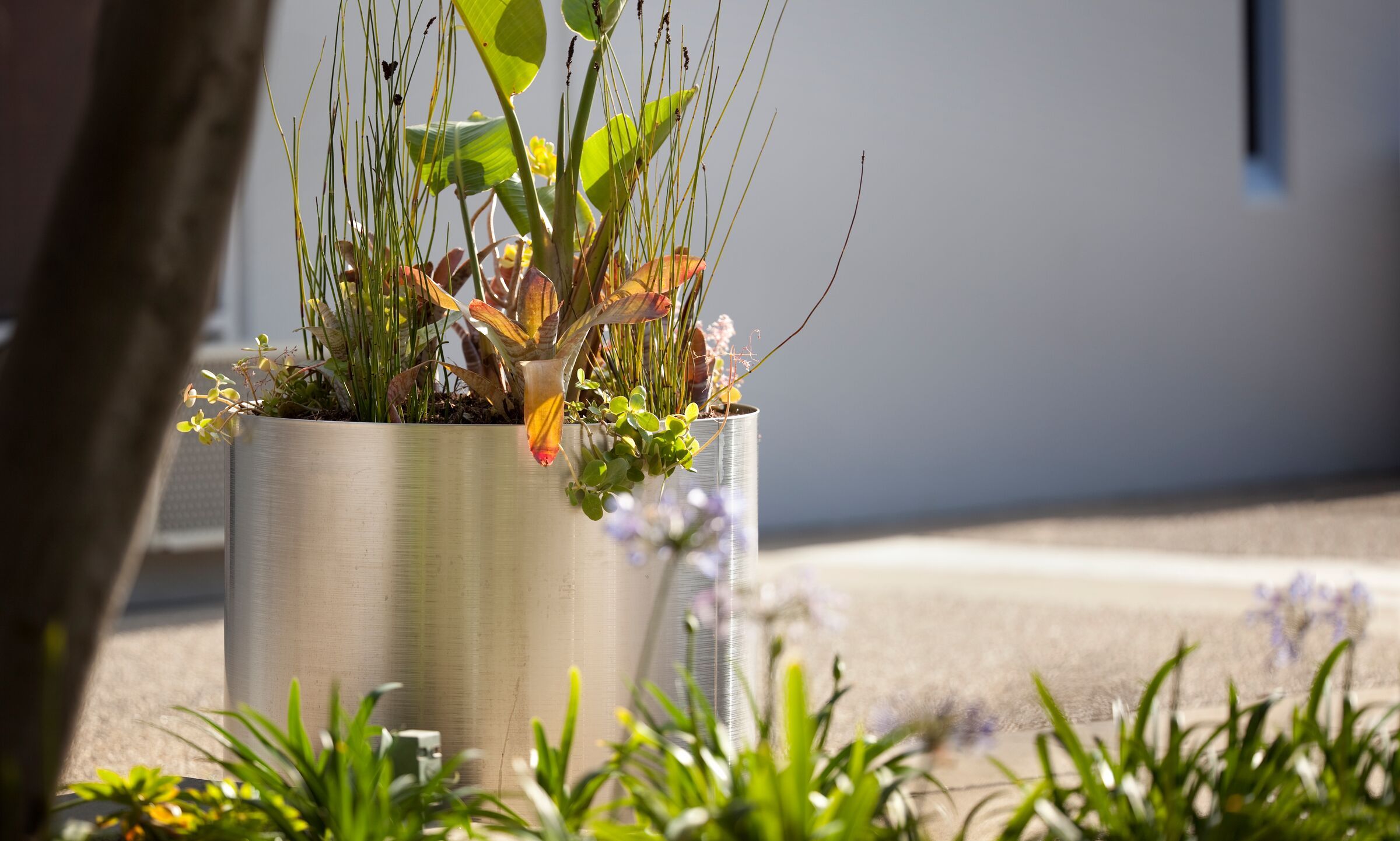 Universal Planter