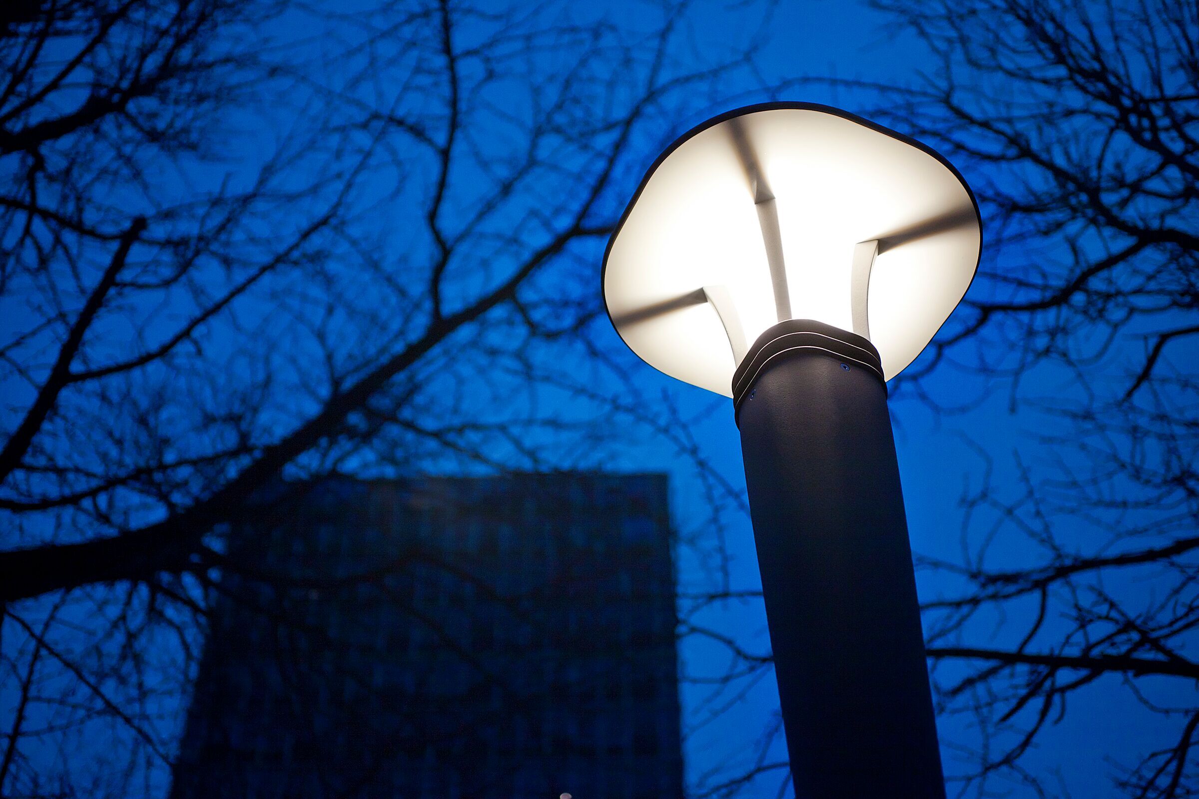 Cordia Pedestrian Lighting