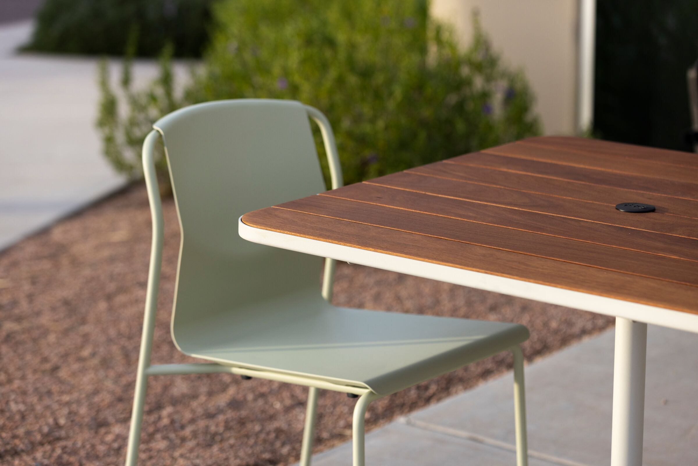 Hypha Table