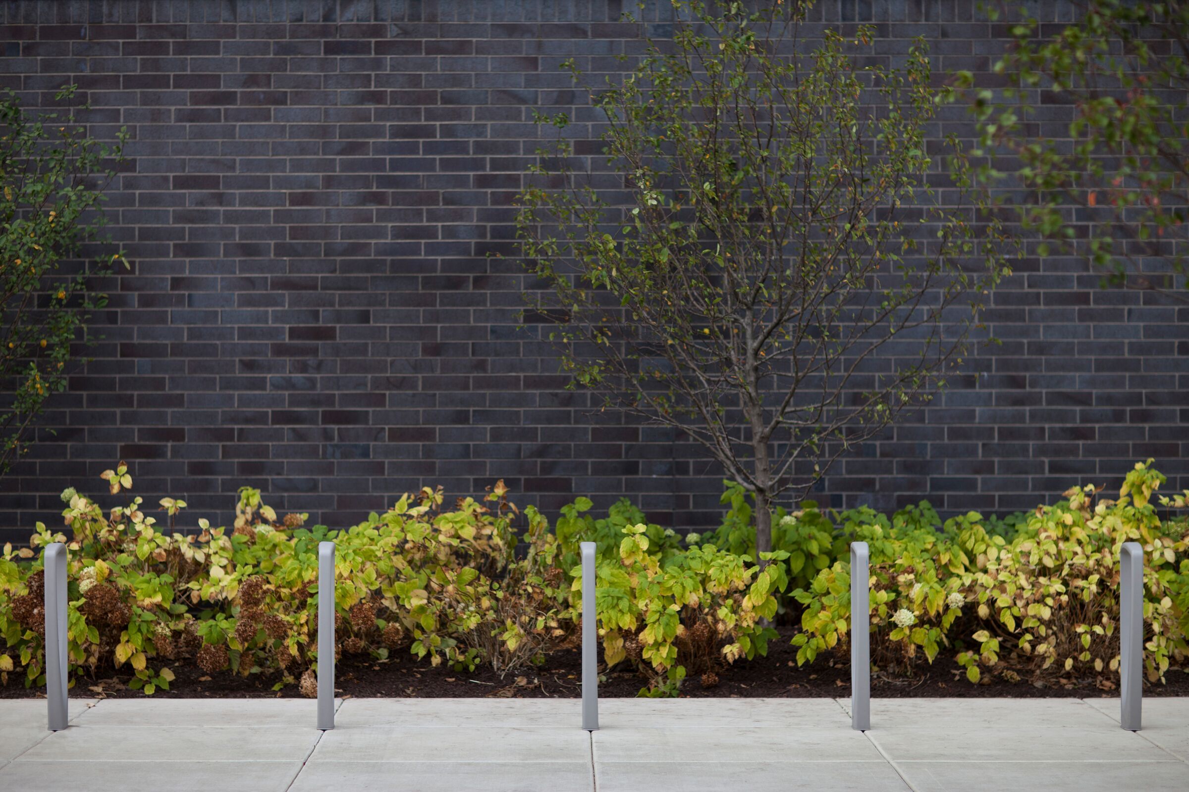 Trio Bike Rack