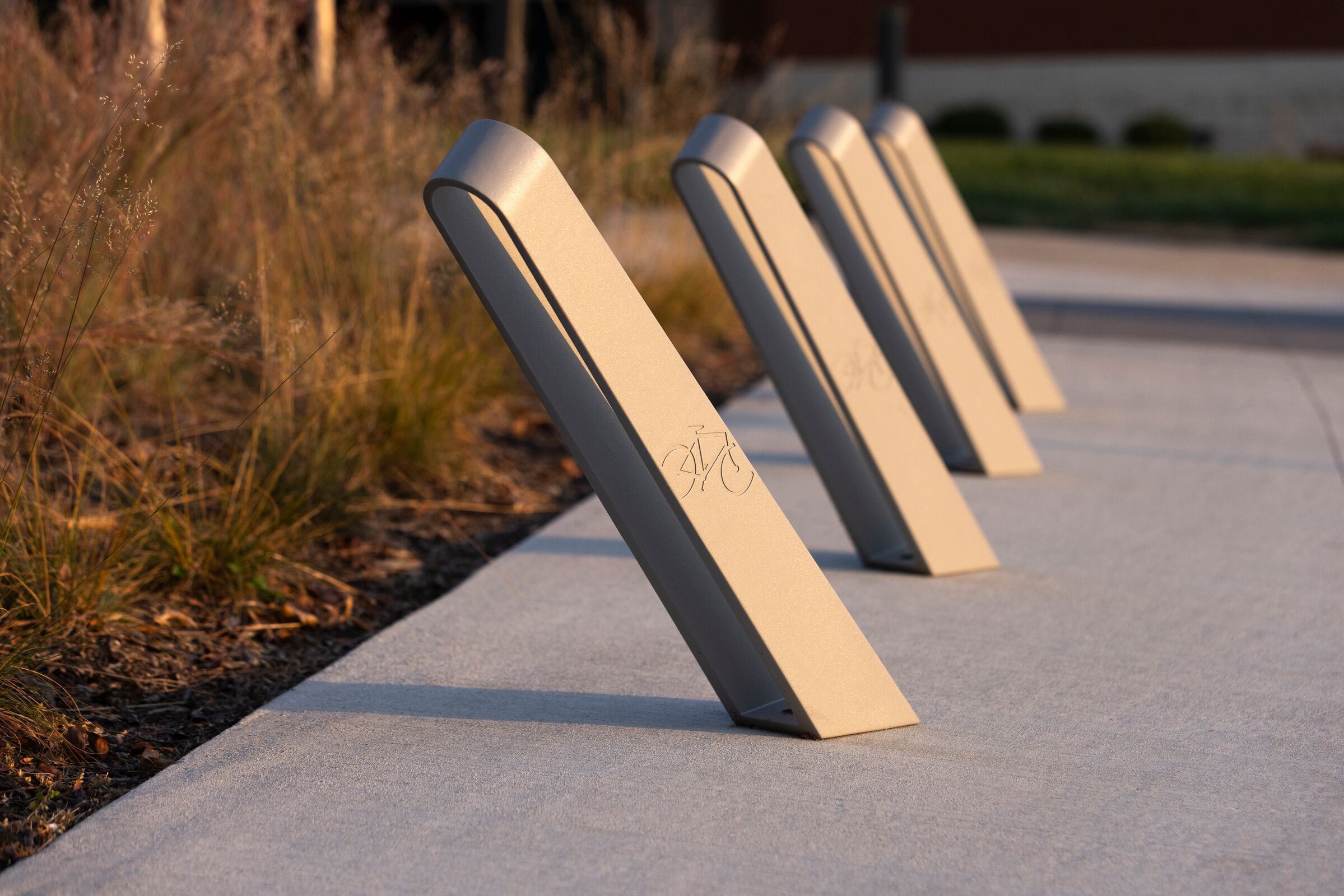 Bay City Bike Rack