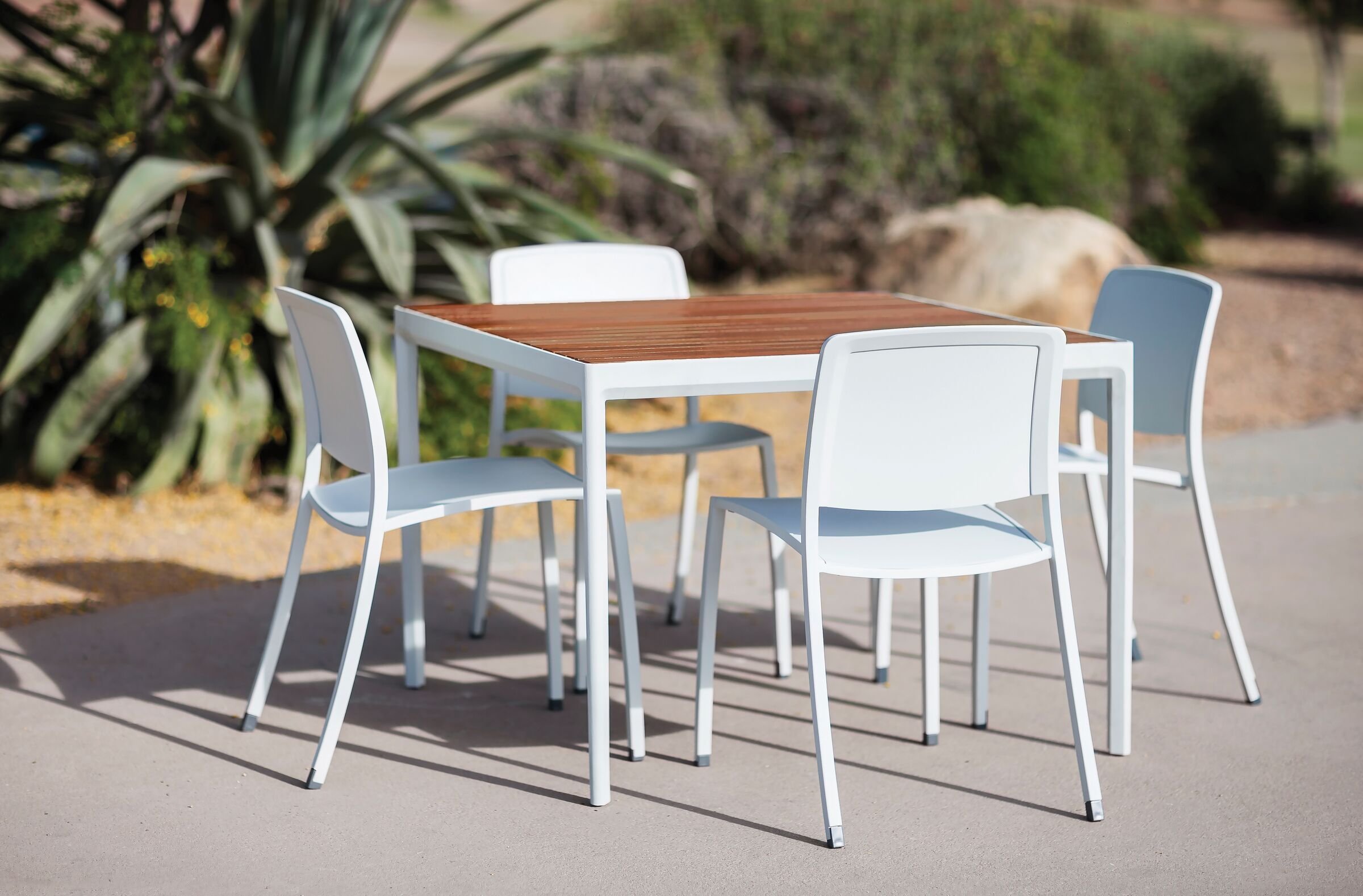Avivo Table