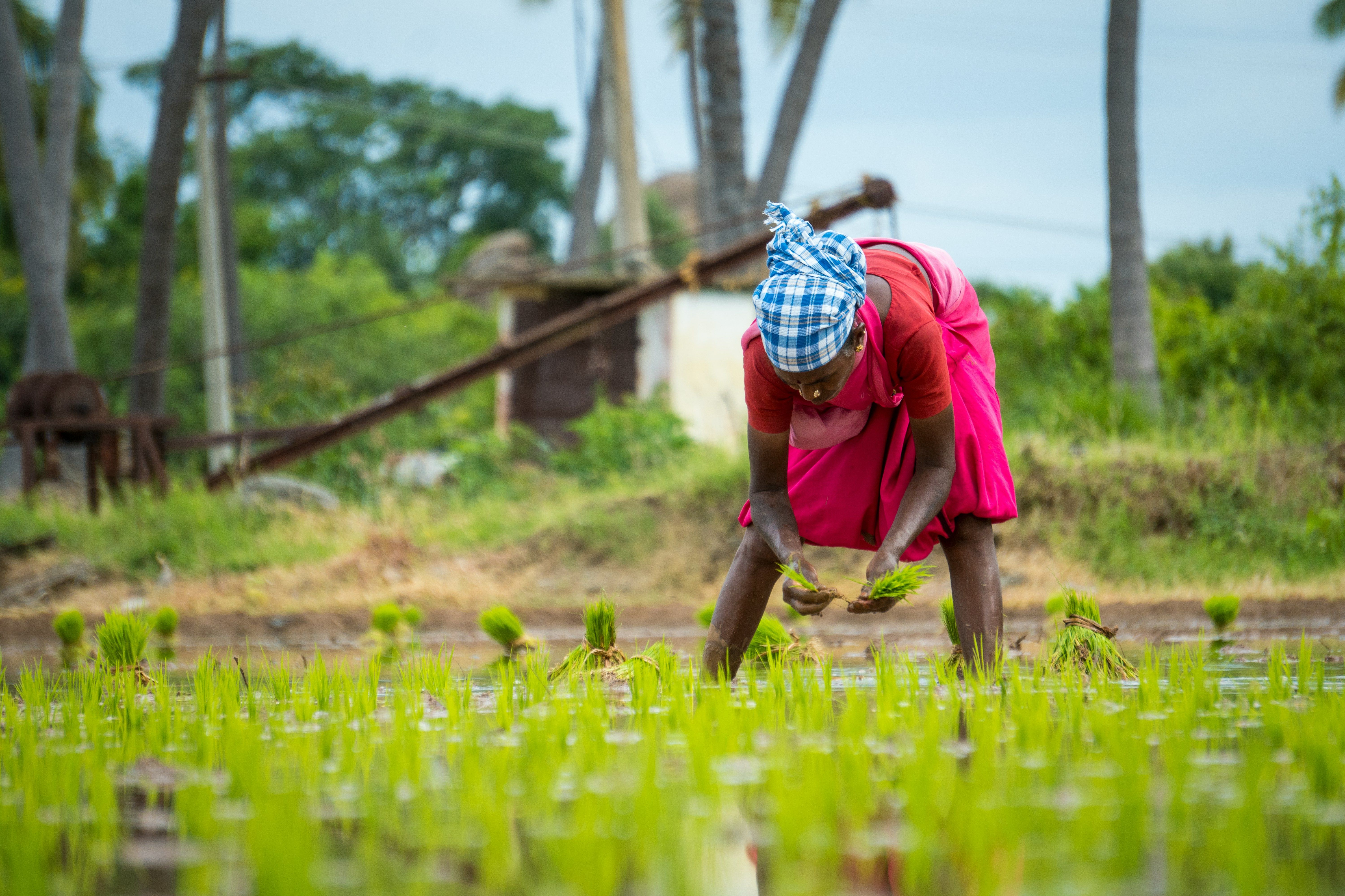 Documentary Story For TMSU International in Togo
