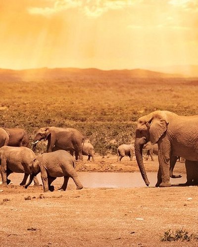 Uganda