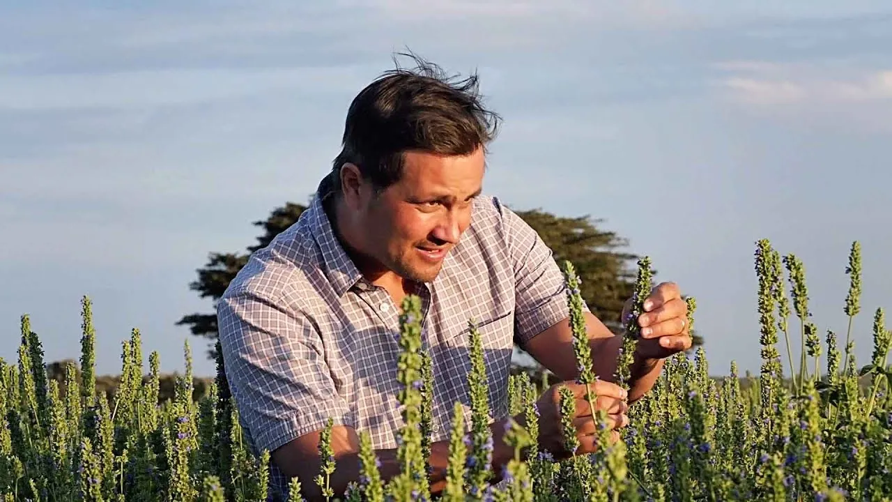 Chia Seeds From Africa's Best Farms