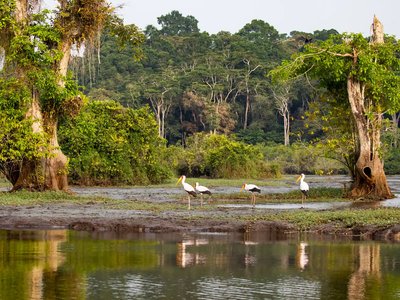 Gabon