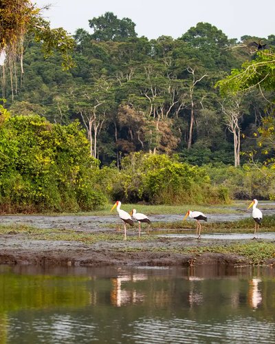 Gabon