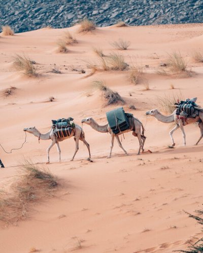 Mauritania