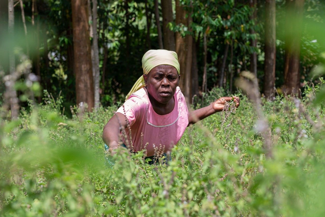 Promoting Eco-Tourism with Green Tour and EU