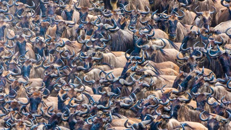 Filming in Kenya: How to Film Successfully