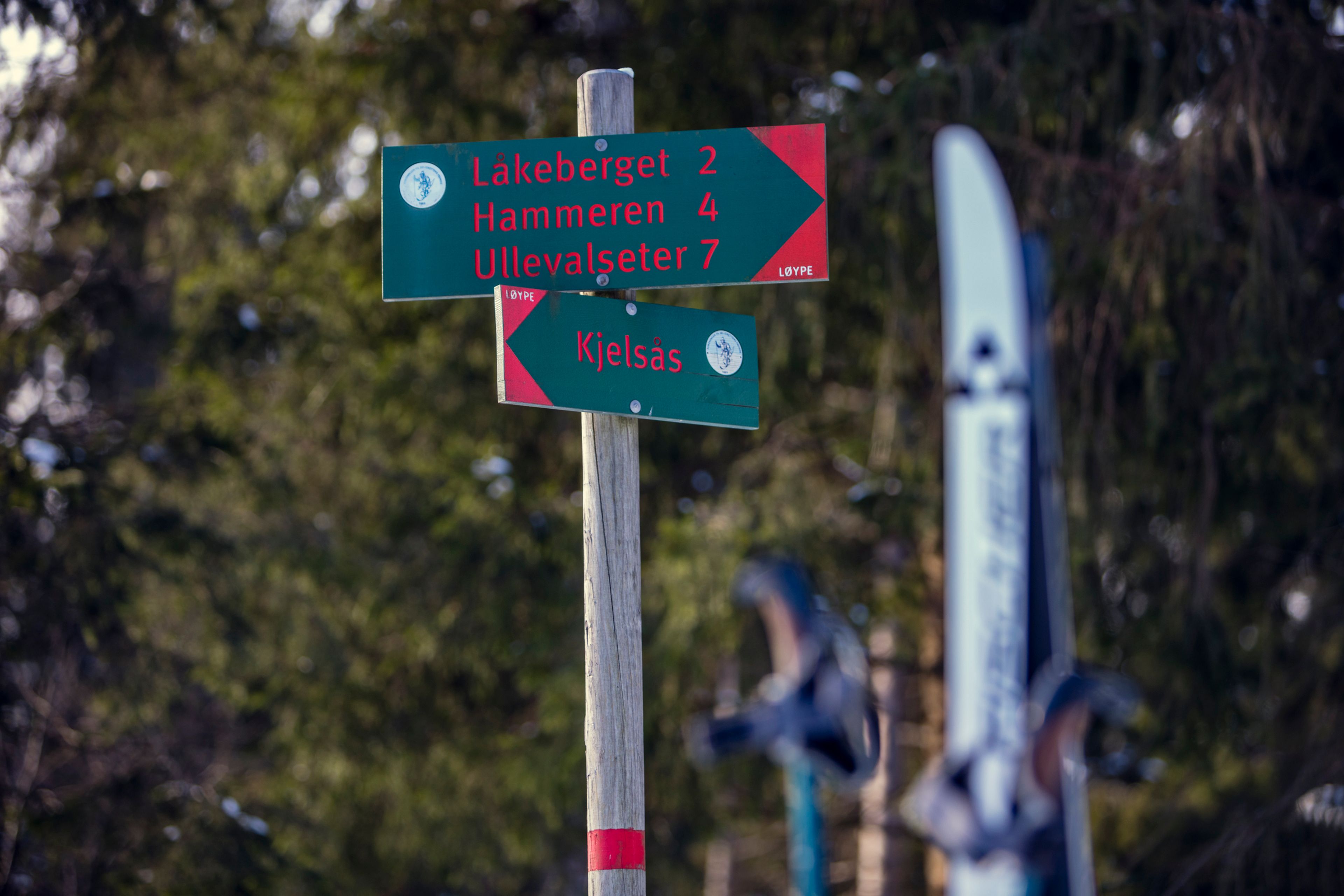 Bilde av turskilt i Nordmarka