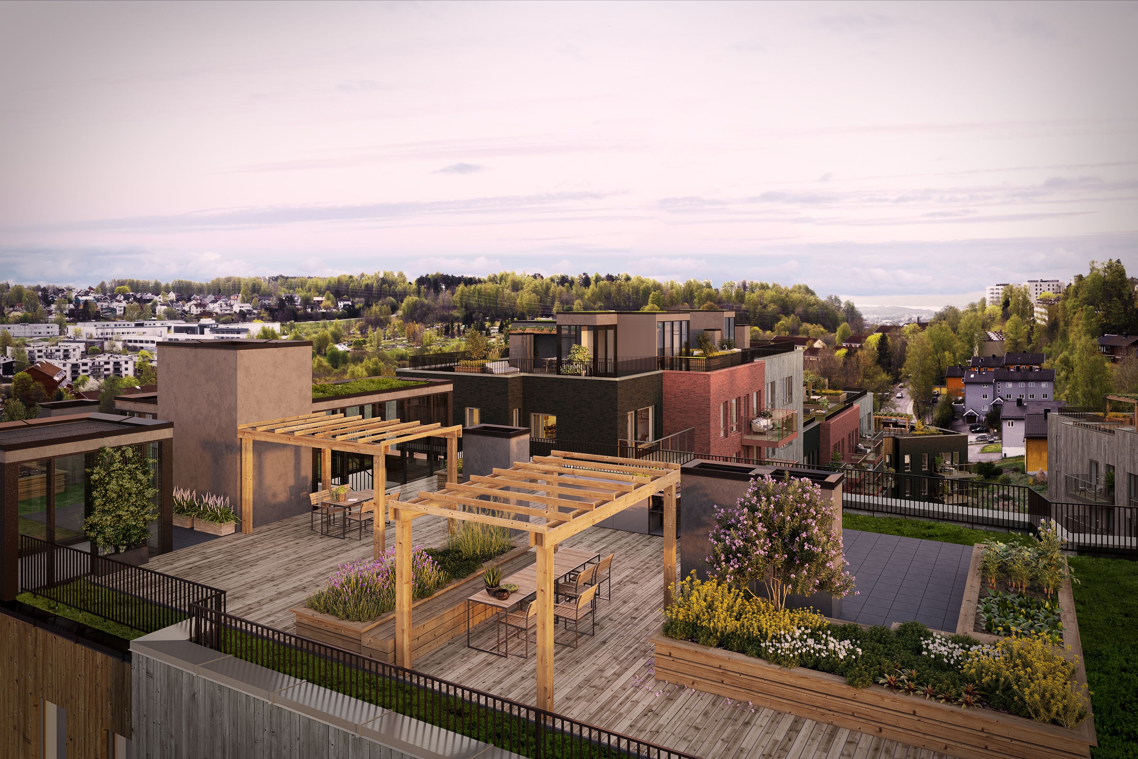 Illustrasjon av takterrasse på Frysjatunet