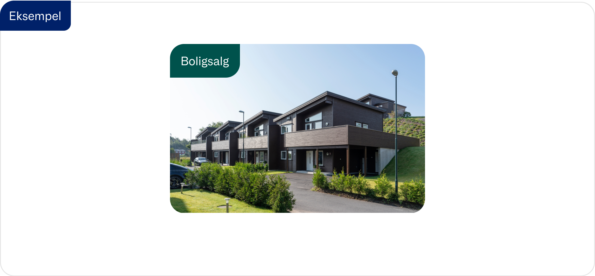 Badge eksempel kort m/img