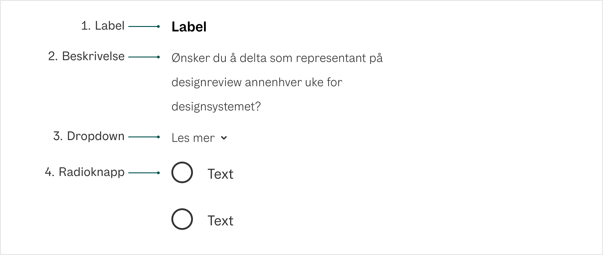 radio button anatomi