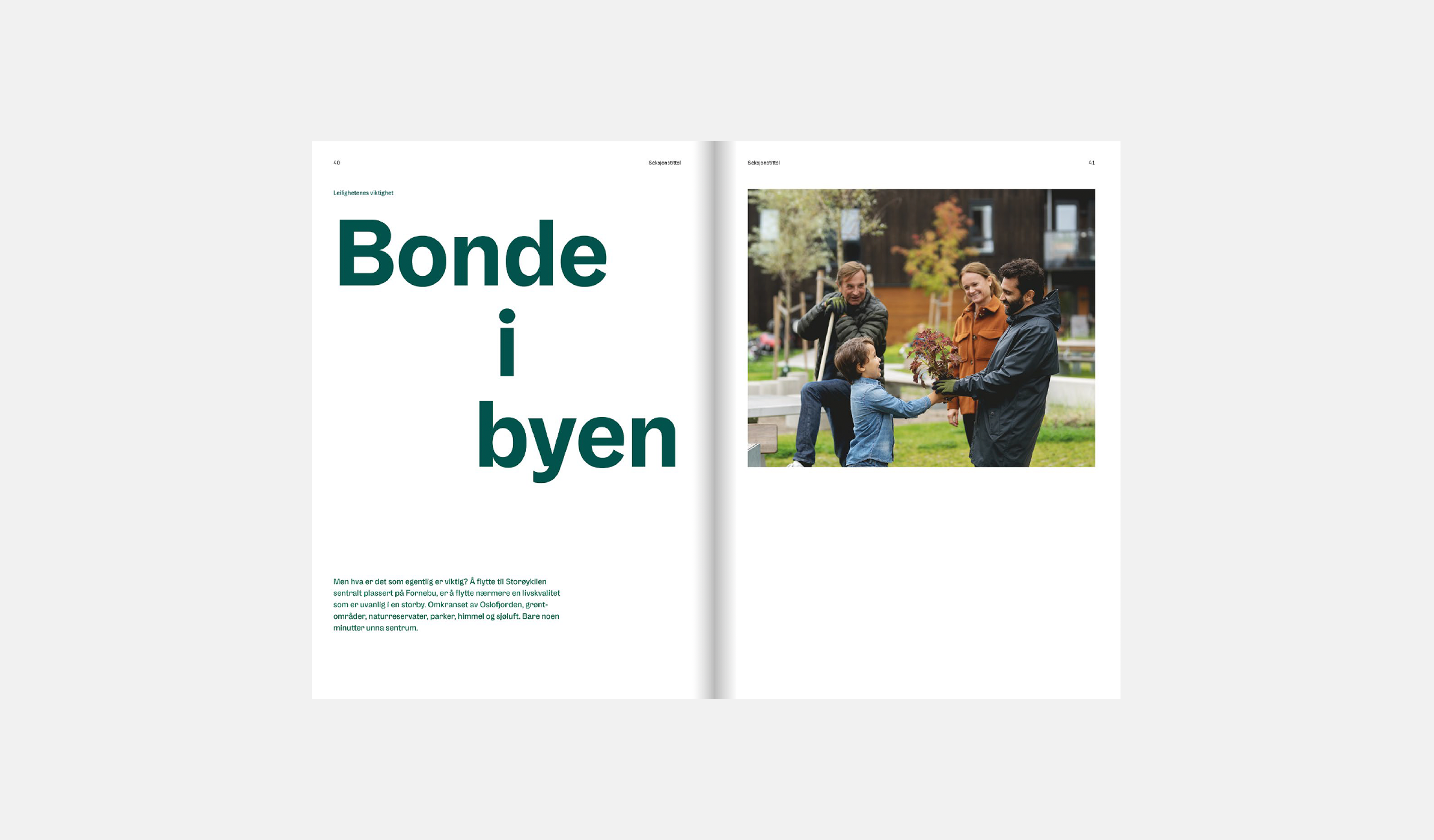 Bonde i byen
