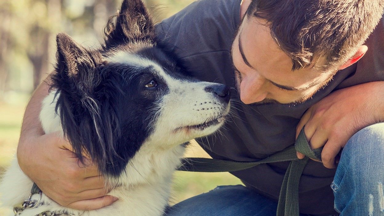 en mann og en hund