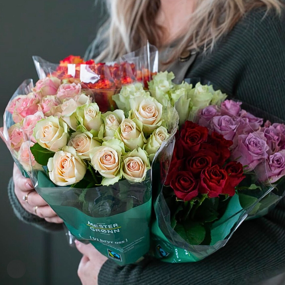 Ulike farger av roseutvalg fra Mester Grønn.