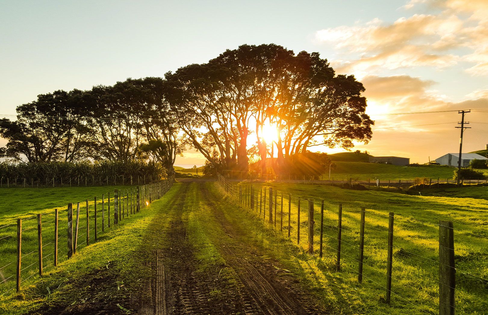 Hvis du har tomten, er vi klare til å bygge huset ditt. OBOS Block Watne Fluks er en totalentreprenør som håndterer hele prosjektet for deg.