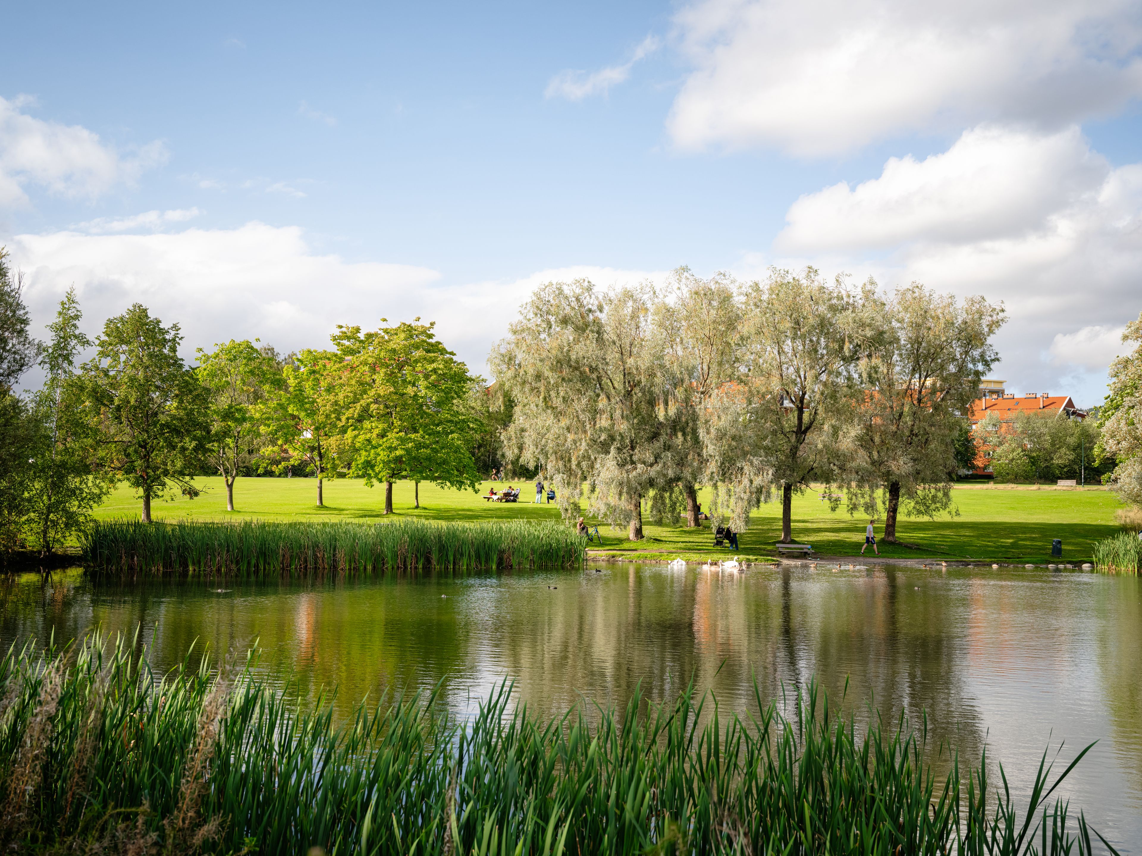 Et bilde av Hovinbekken.