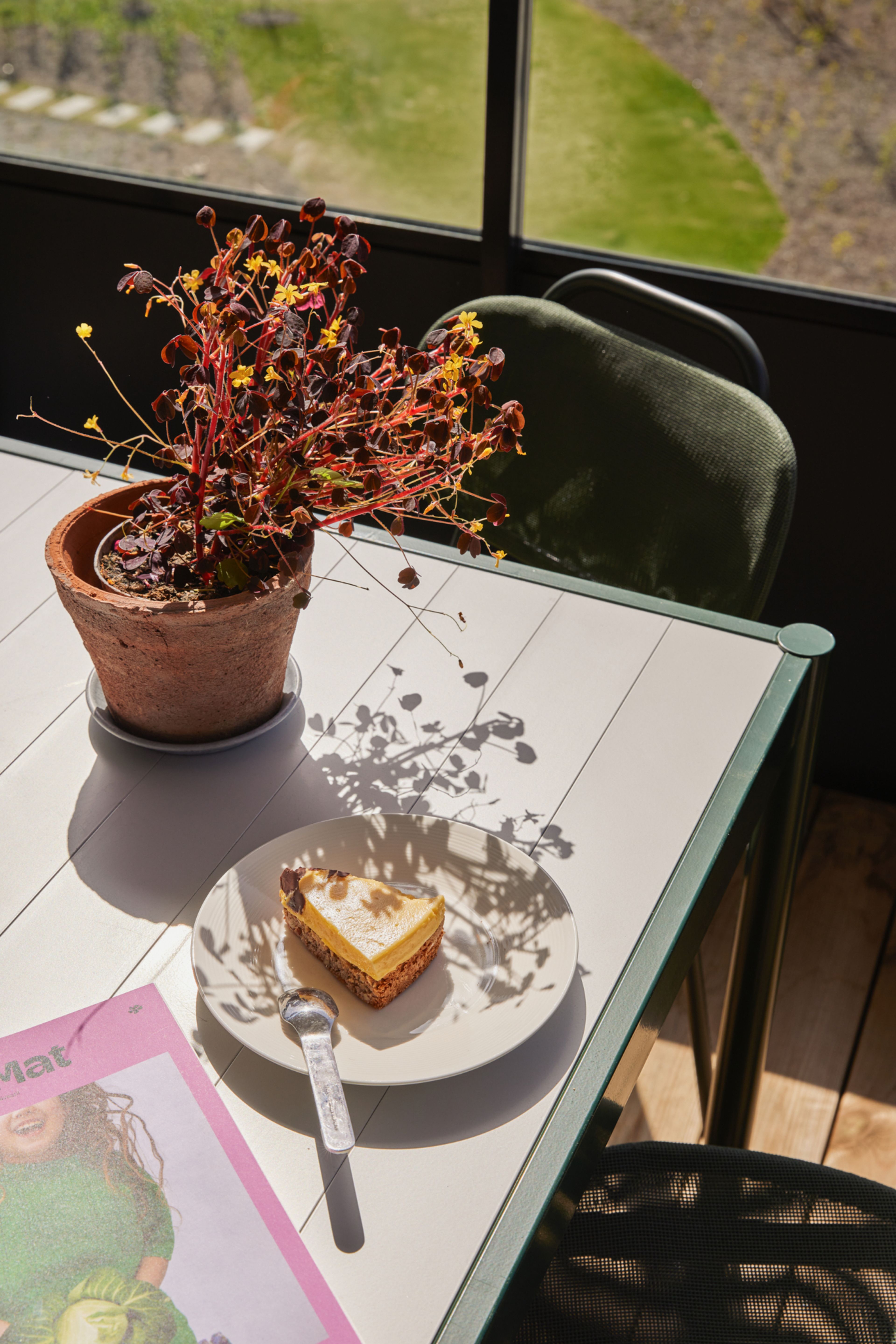 Detaljbilde av et kafébord med tallerken og en blomst i potte