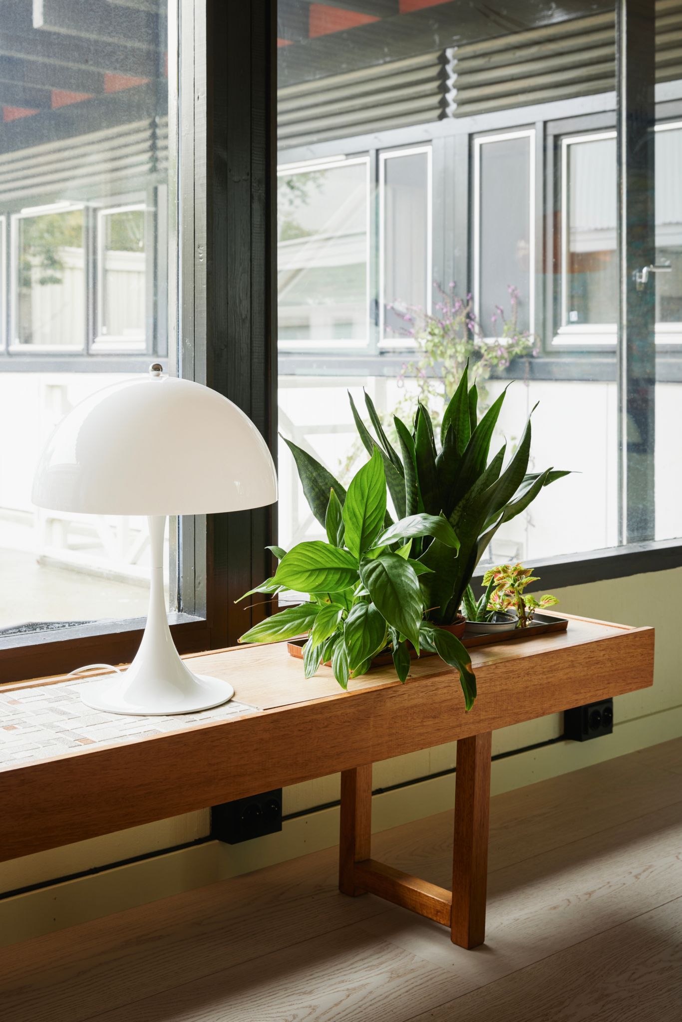 En sittebenk står langs vinduet. På benken står en bordlampe og en plante.