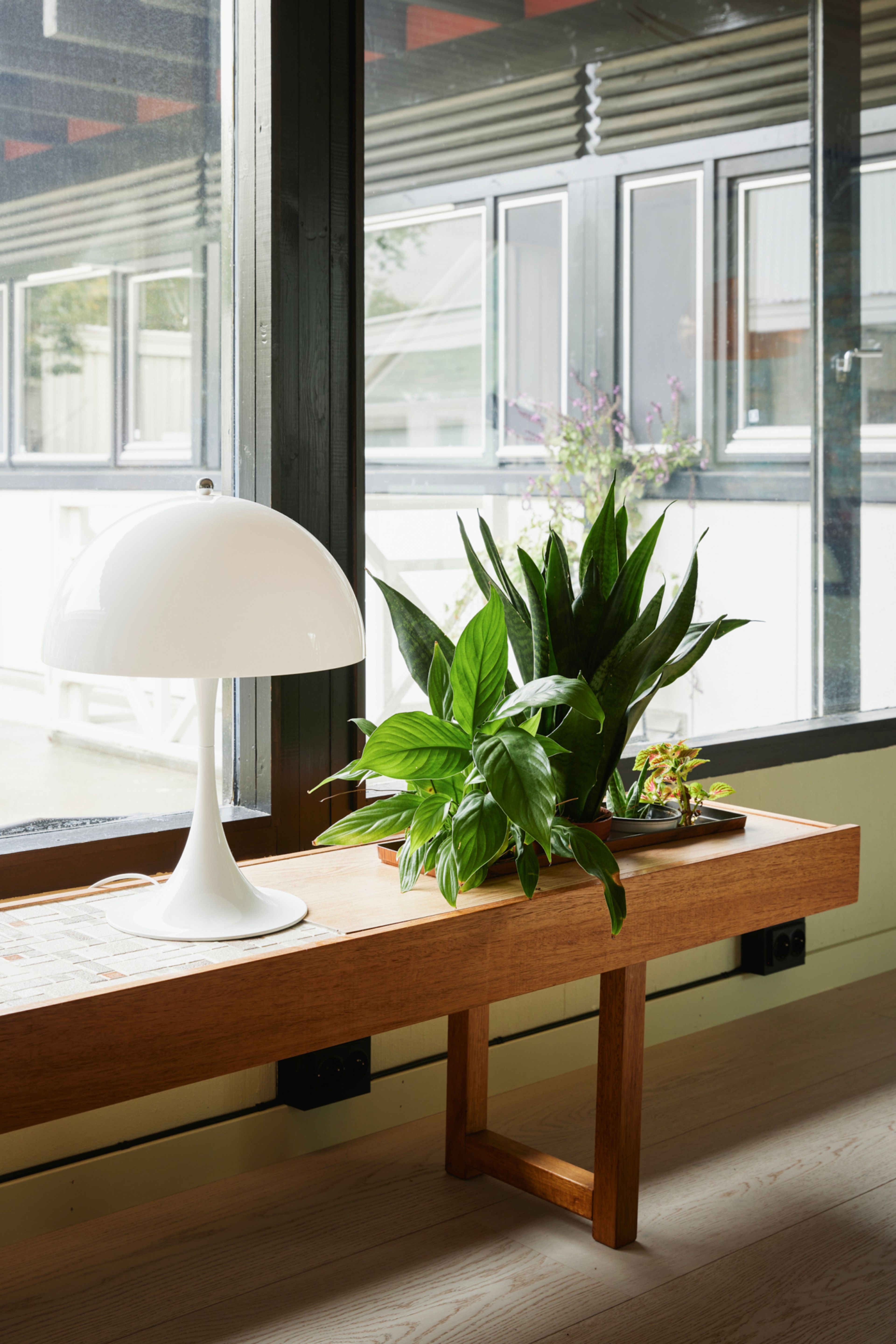 En sittebenk står langs vinduet. På benken står en bordlampe og en plante.