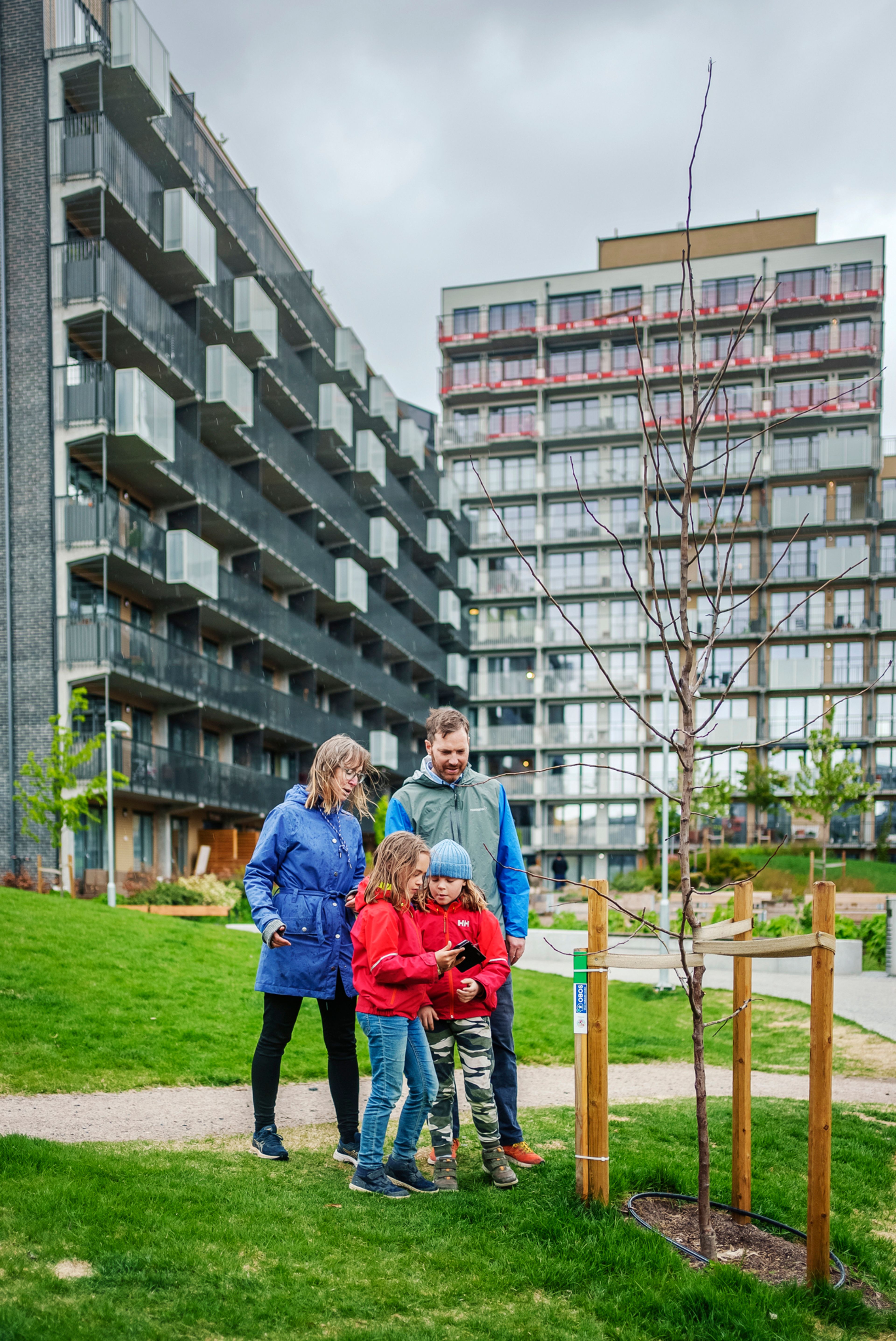 Familien Fredheim på fire, på stolpejakt på Ulven.