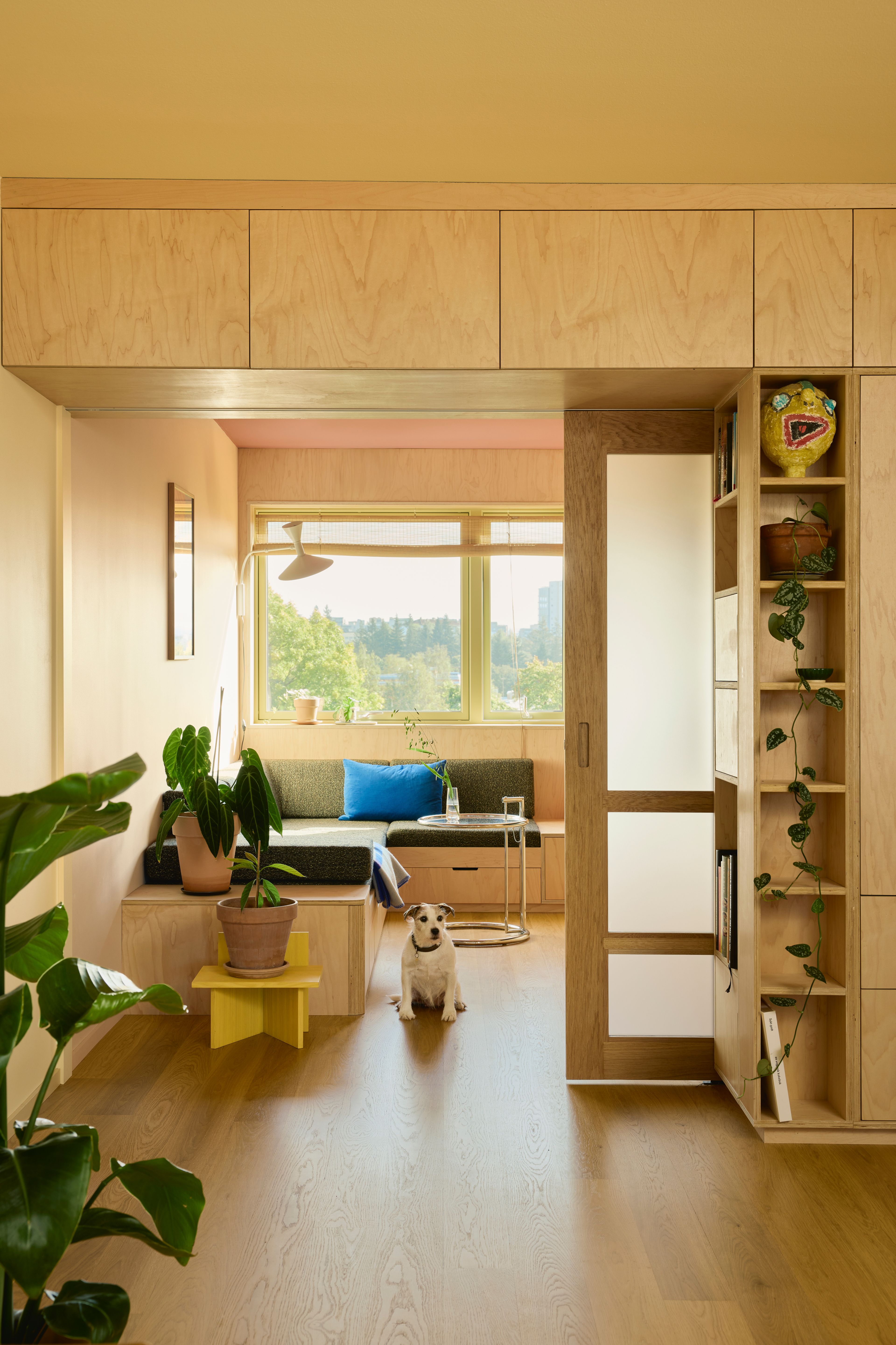 Åpen stue med en praktisk skyvedør. Hunden Easy siter midt på gulvet.