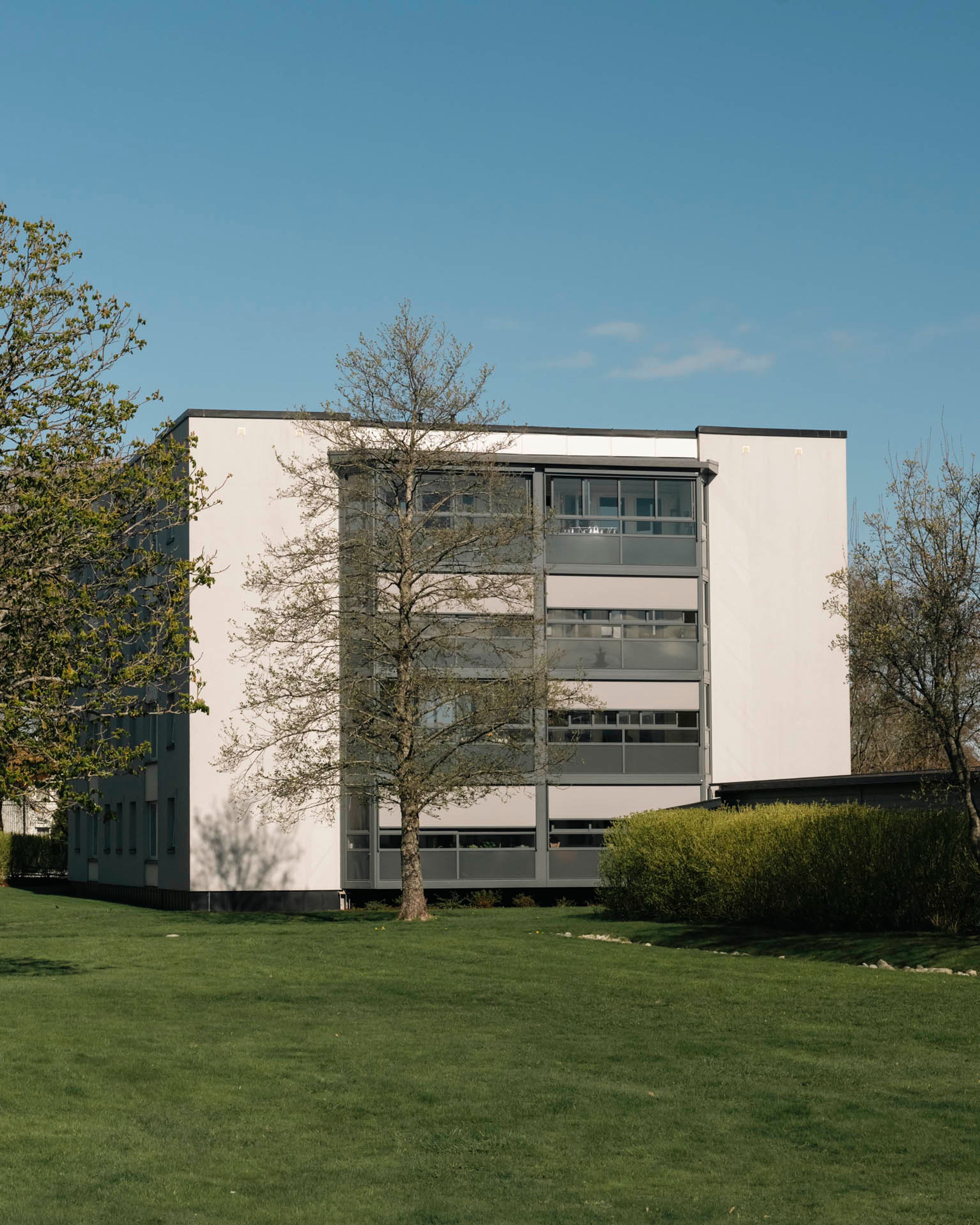 Lys, modernistisk lavblokk med store glassflater sett fra grasplenen ved Presteløkka III i Fredrikstad.