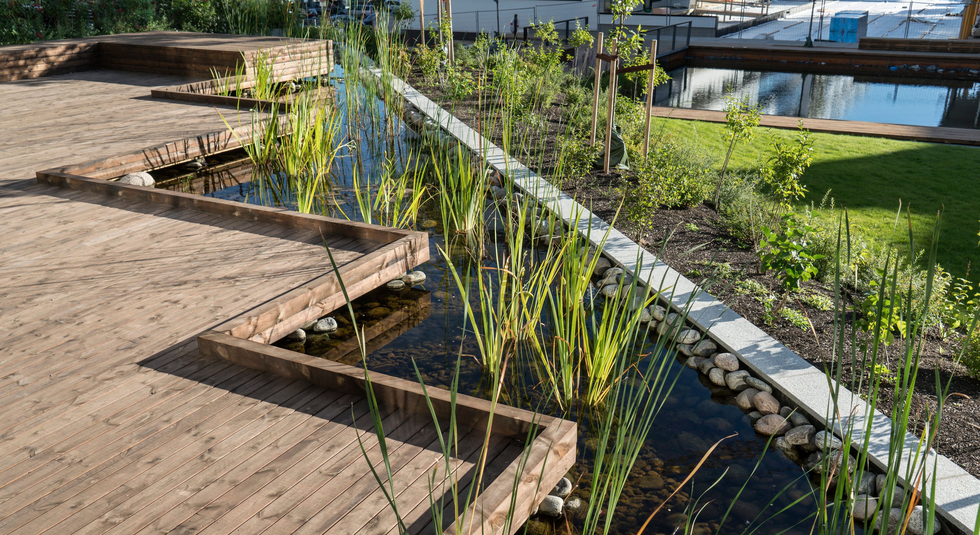 Illustrasjonsbilde av en park