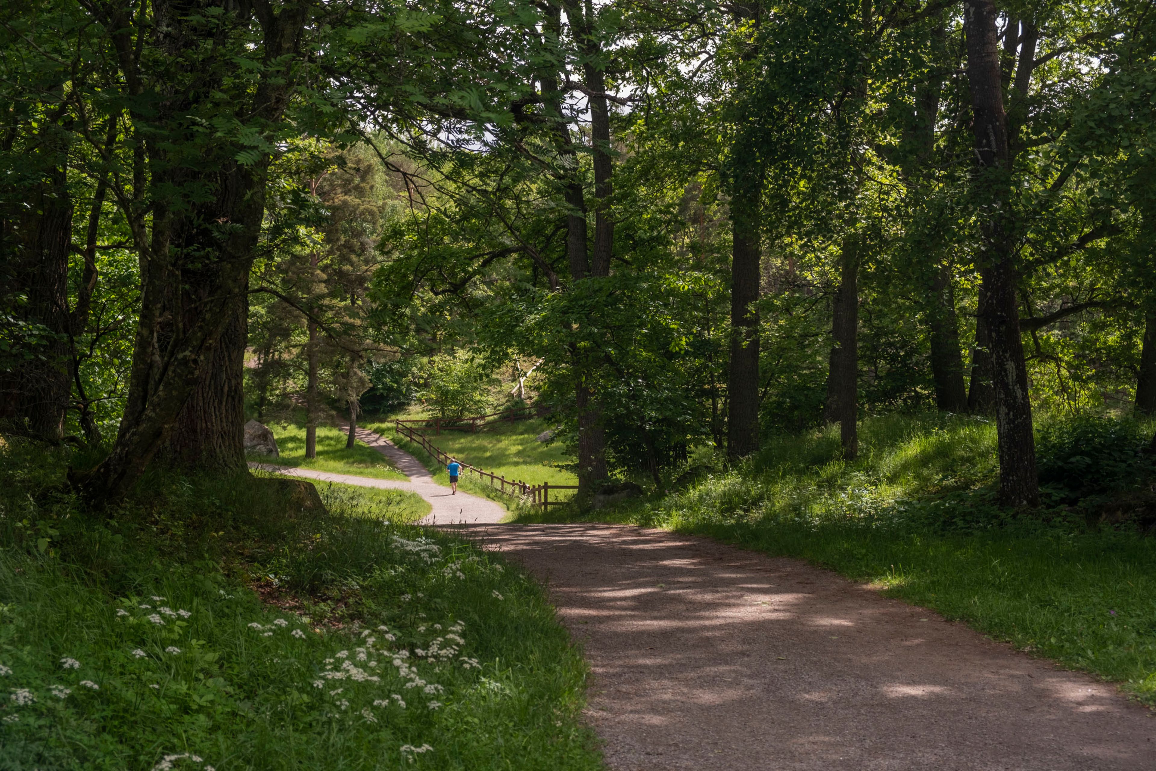 Nyckelvikens naturreservat