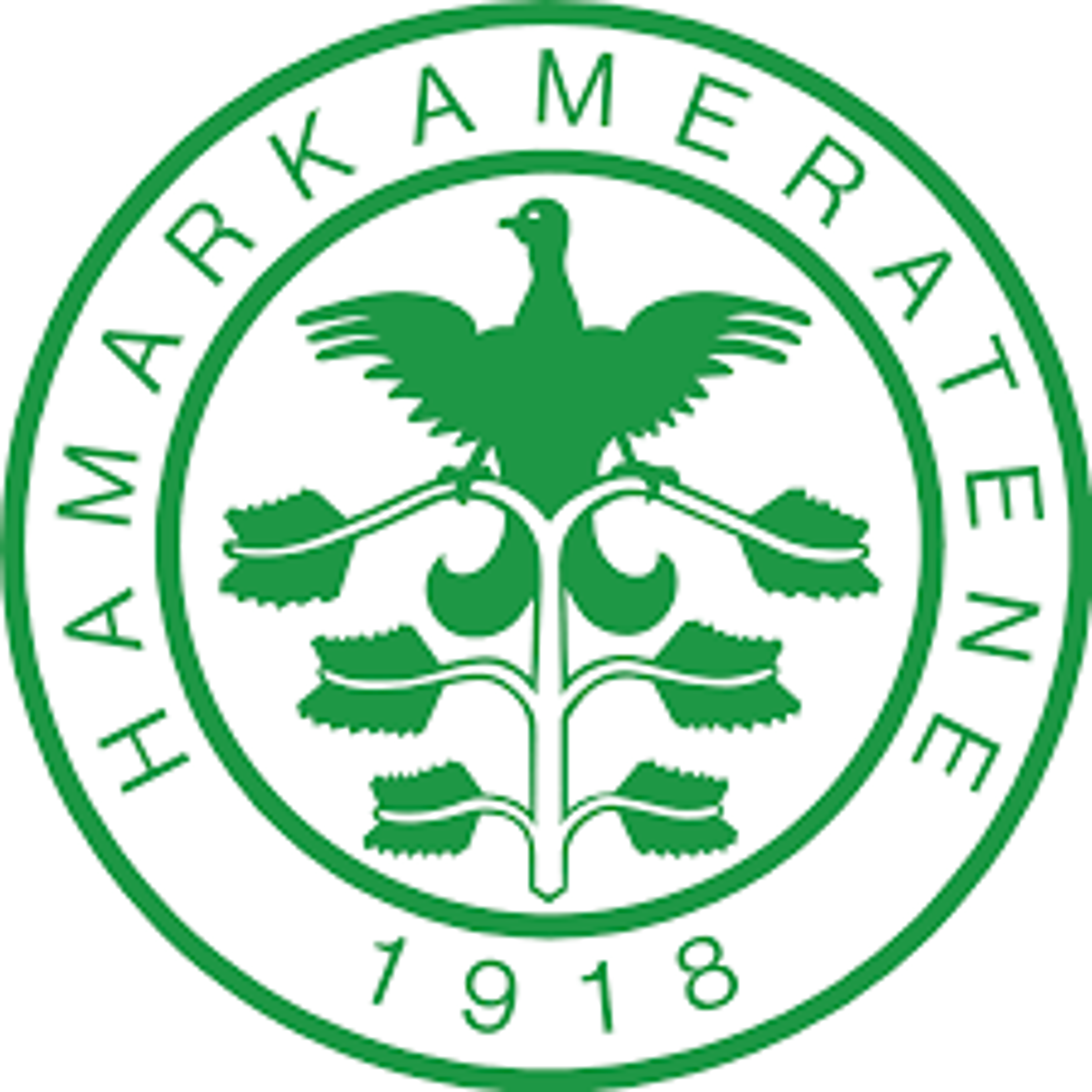 HamKam fotball logo