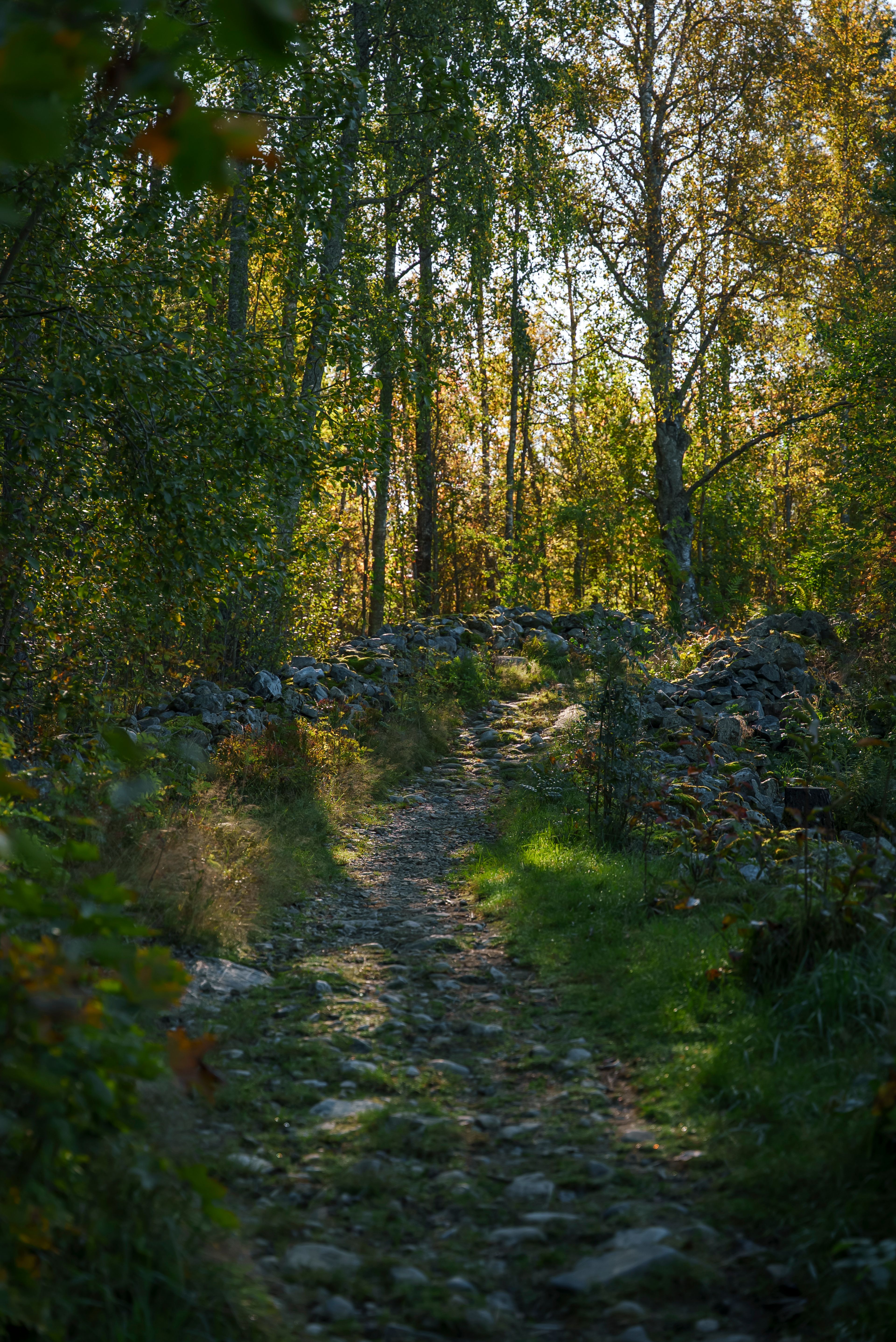 En grussti med et steingjerde på den ene siden, omgitt av gule og grønne høsttrær