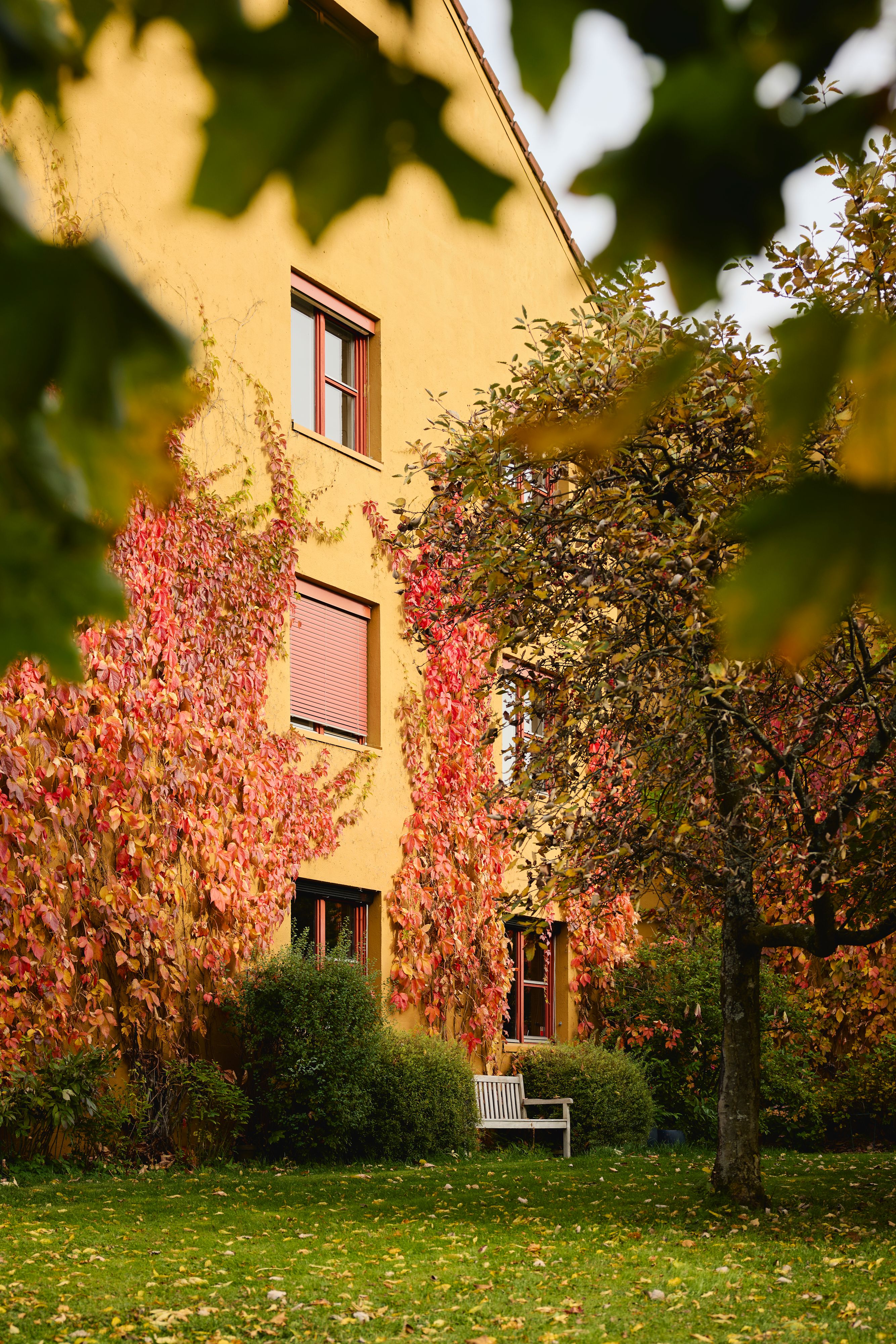 Bilde av et frodig uteområde. 