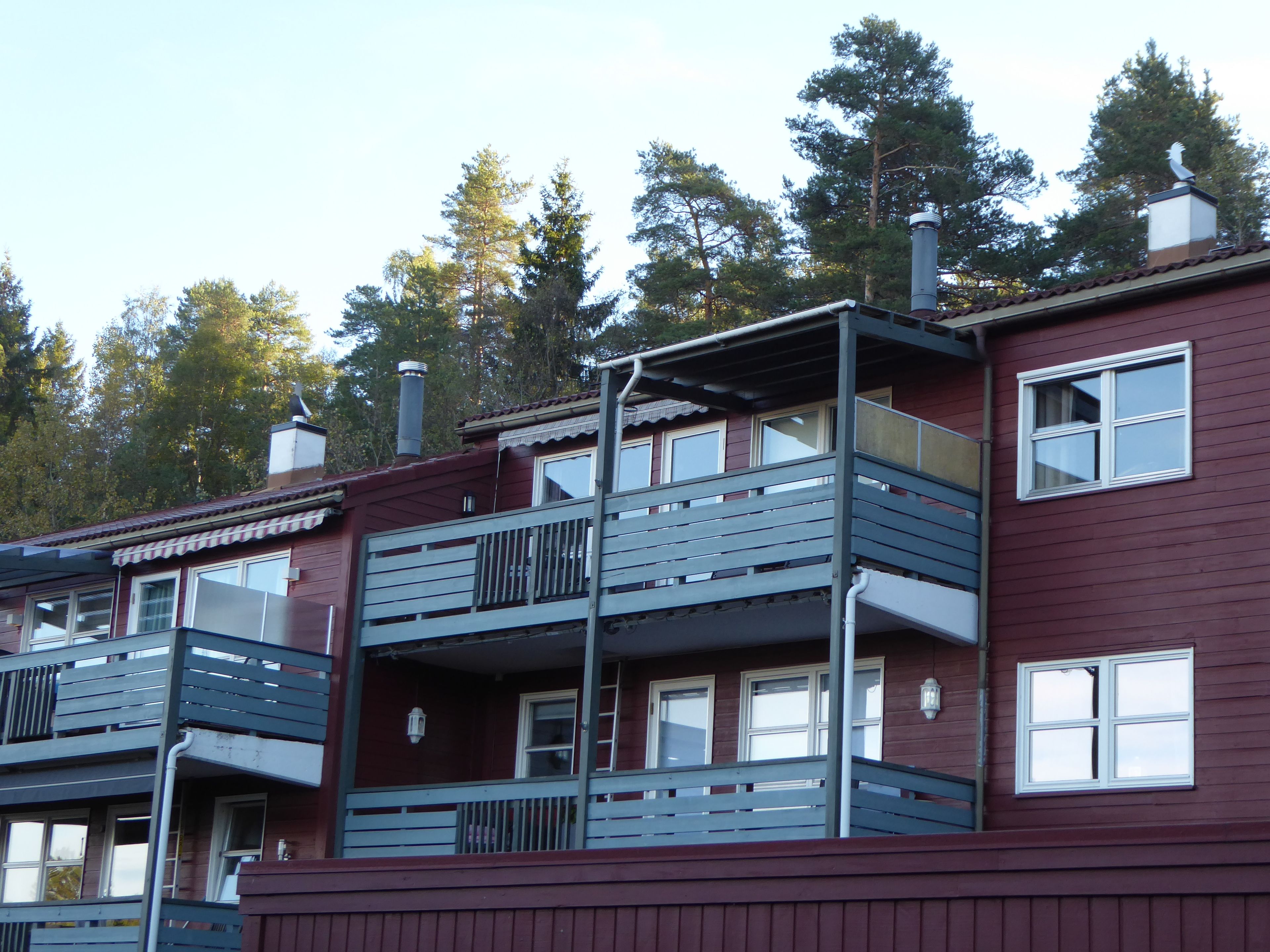 Fleretasjes boligblokk med fasader og balkonger, omgitt av trær i høstsol.
