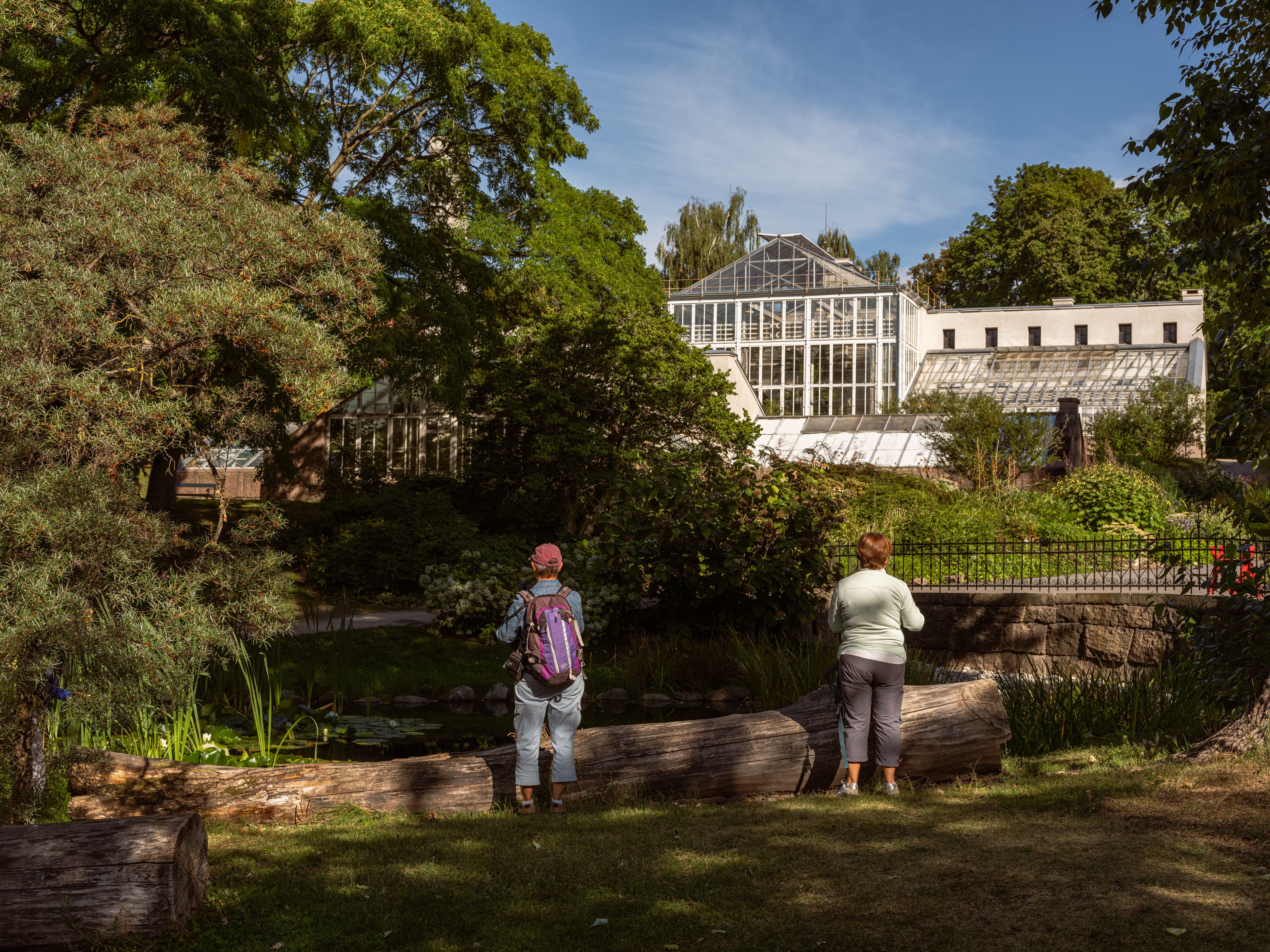 To eldre mennesker som står og ser innover i Botanisk hage
