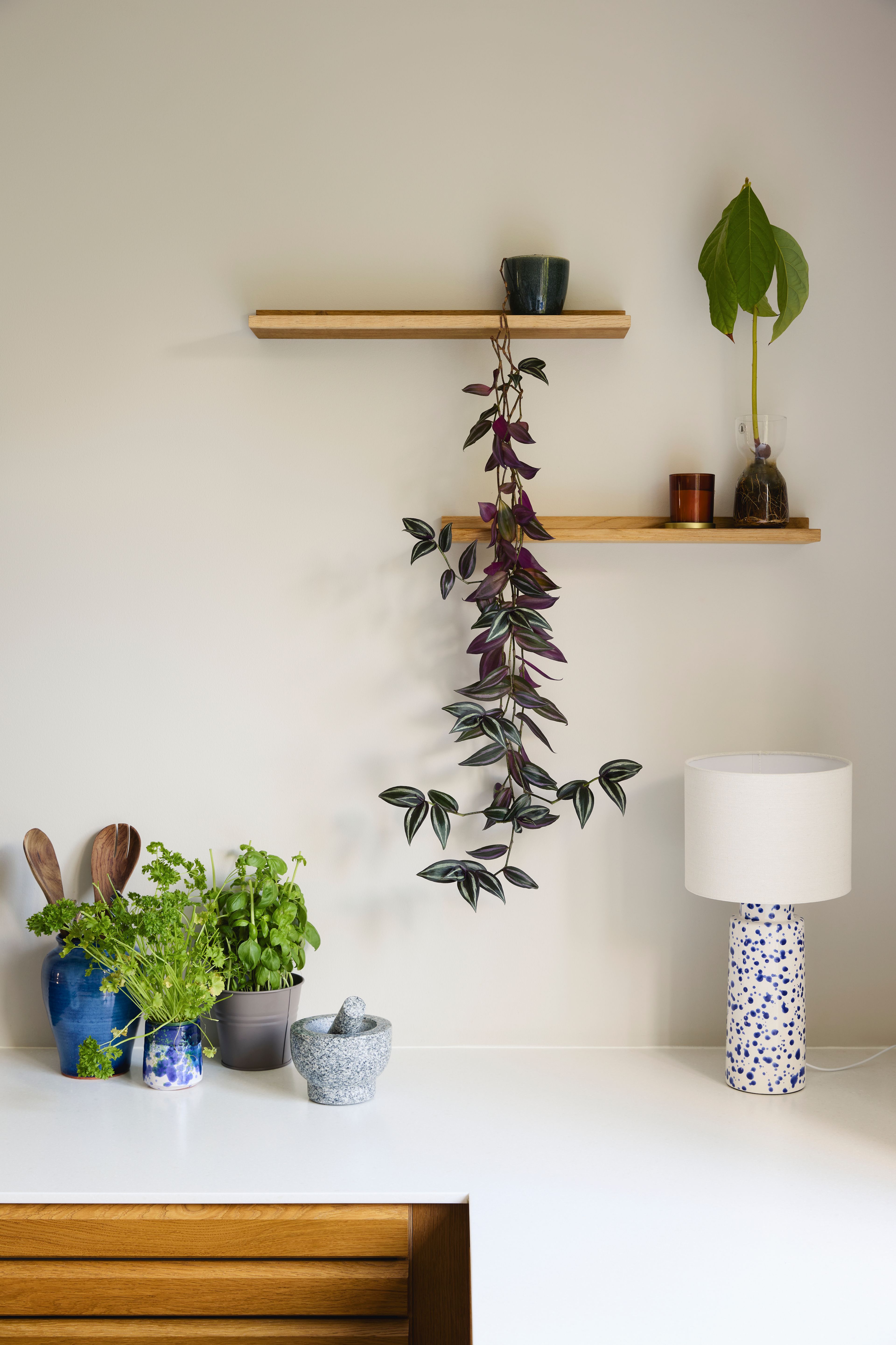 Et detaljbilde fra kjøkkenbenken med krydderplanter i blå krukker, hyller og en lampe.
