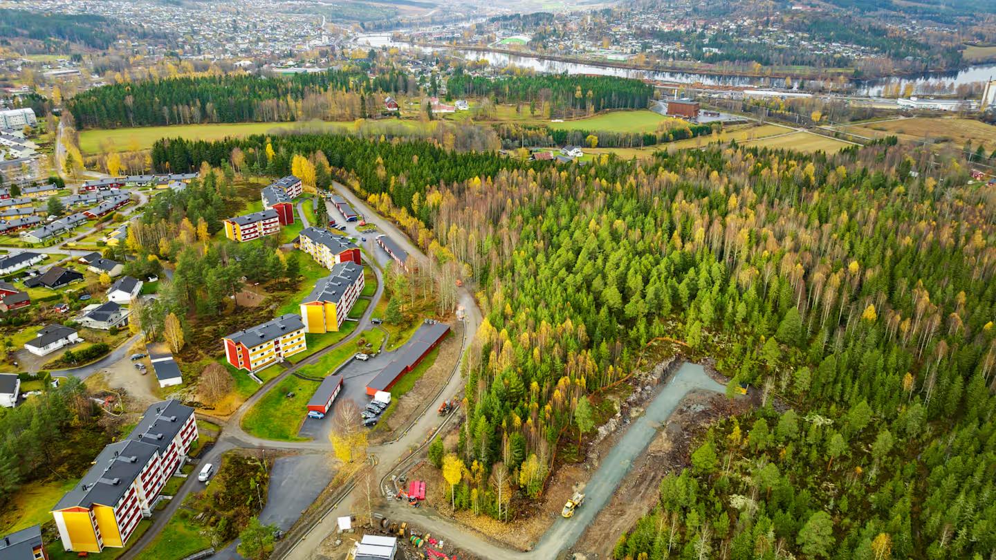 Nærområdet rundt tomtene.