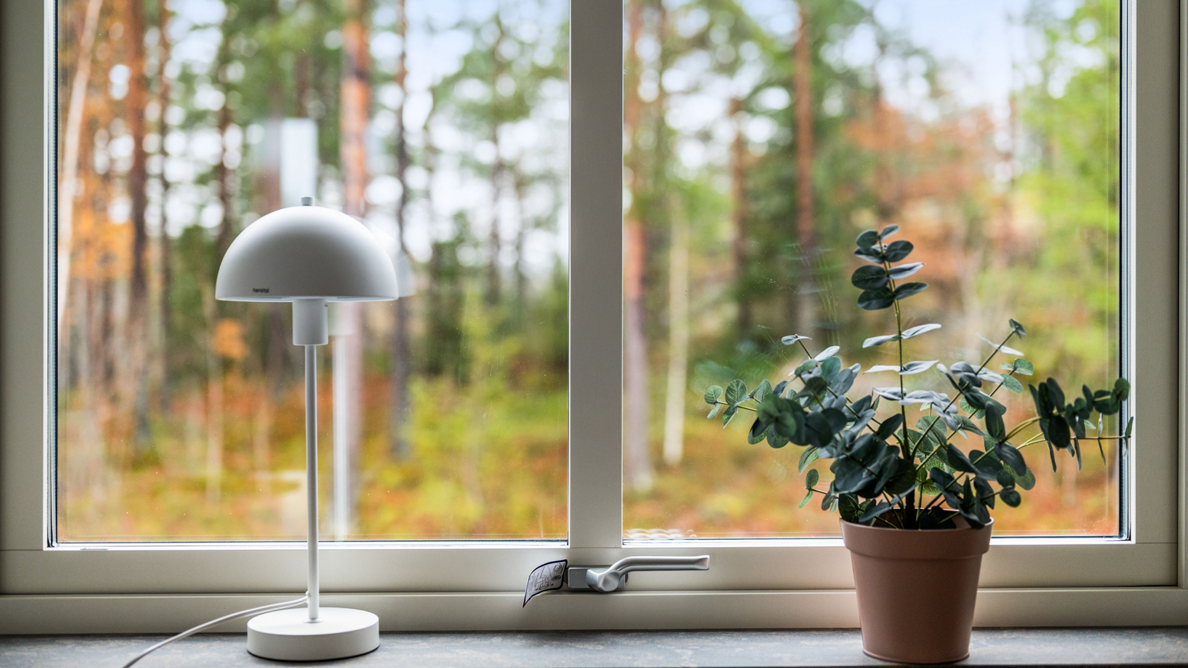 Fönsterlampa och blomma i kruka står på fönsterbrädan.