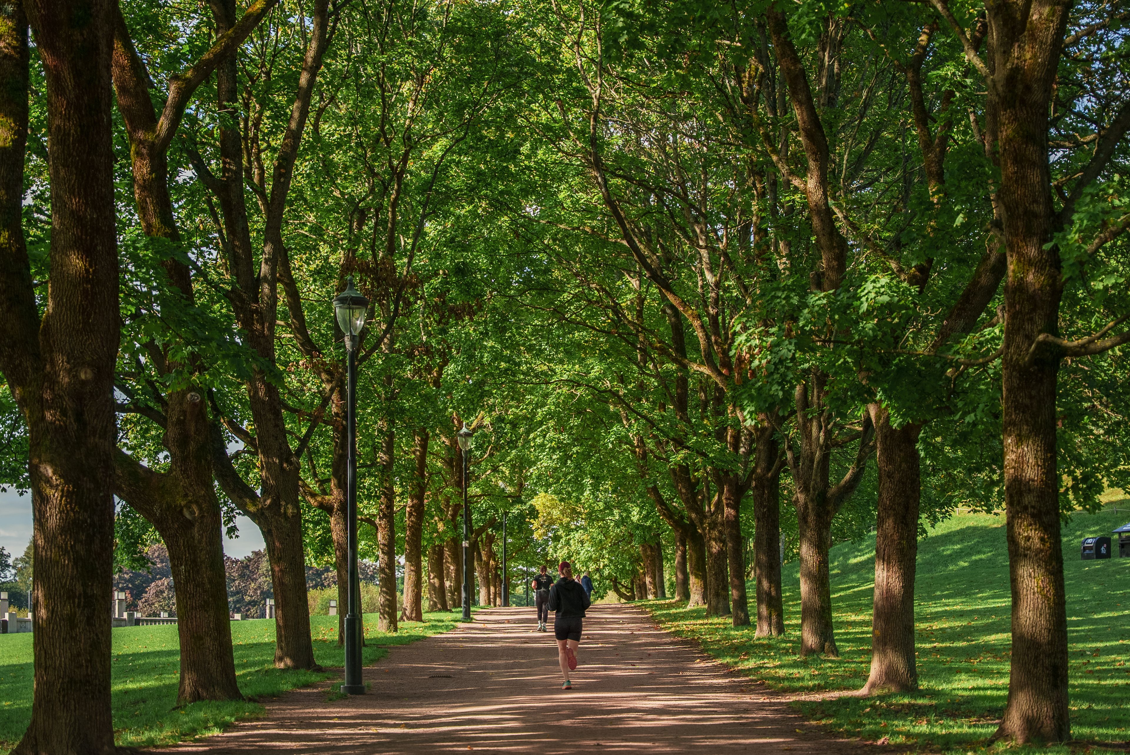 Turvei i Frognerparken