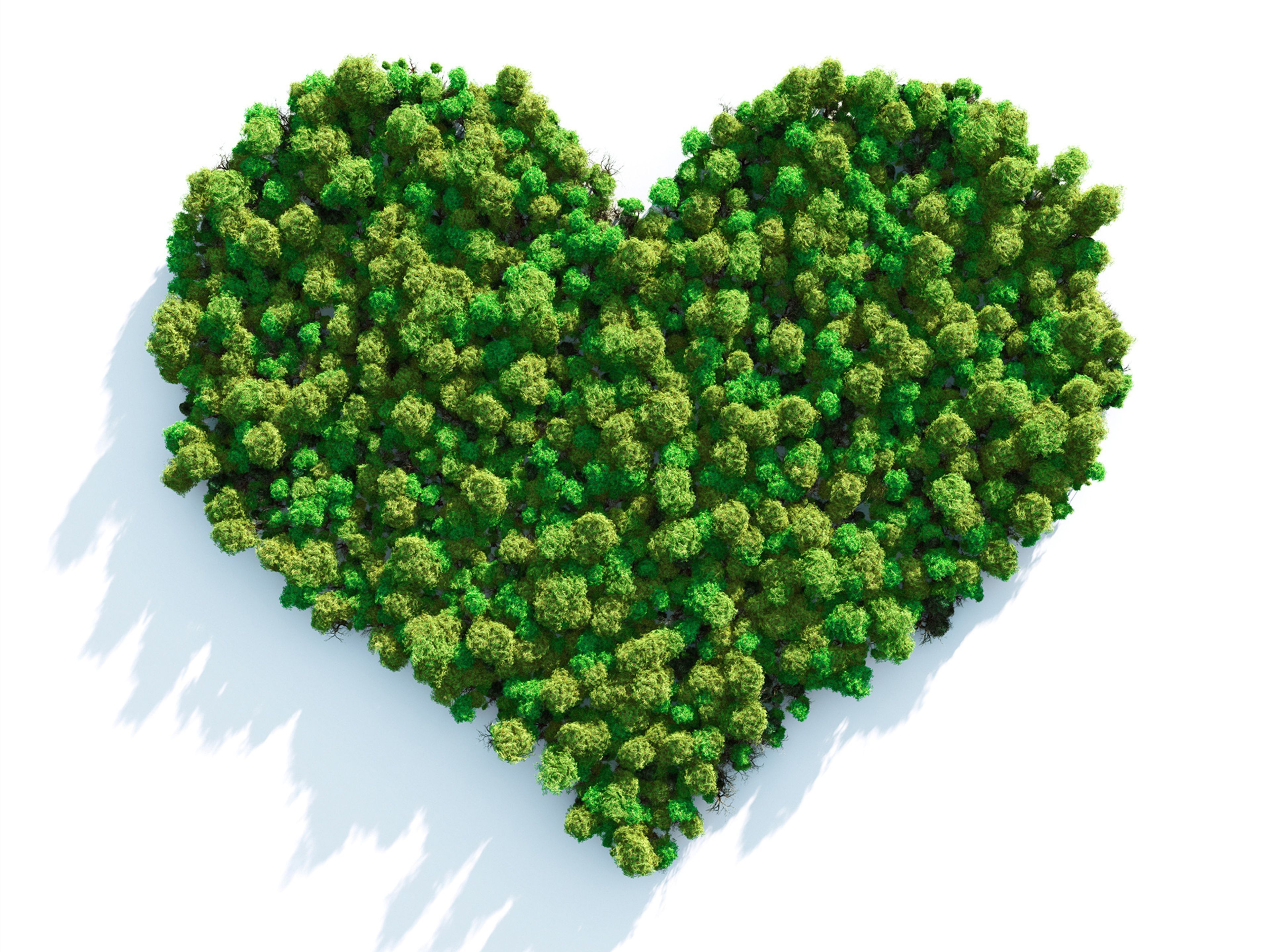 ett hjärta format av skog