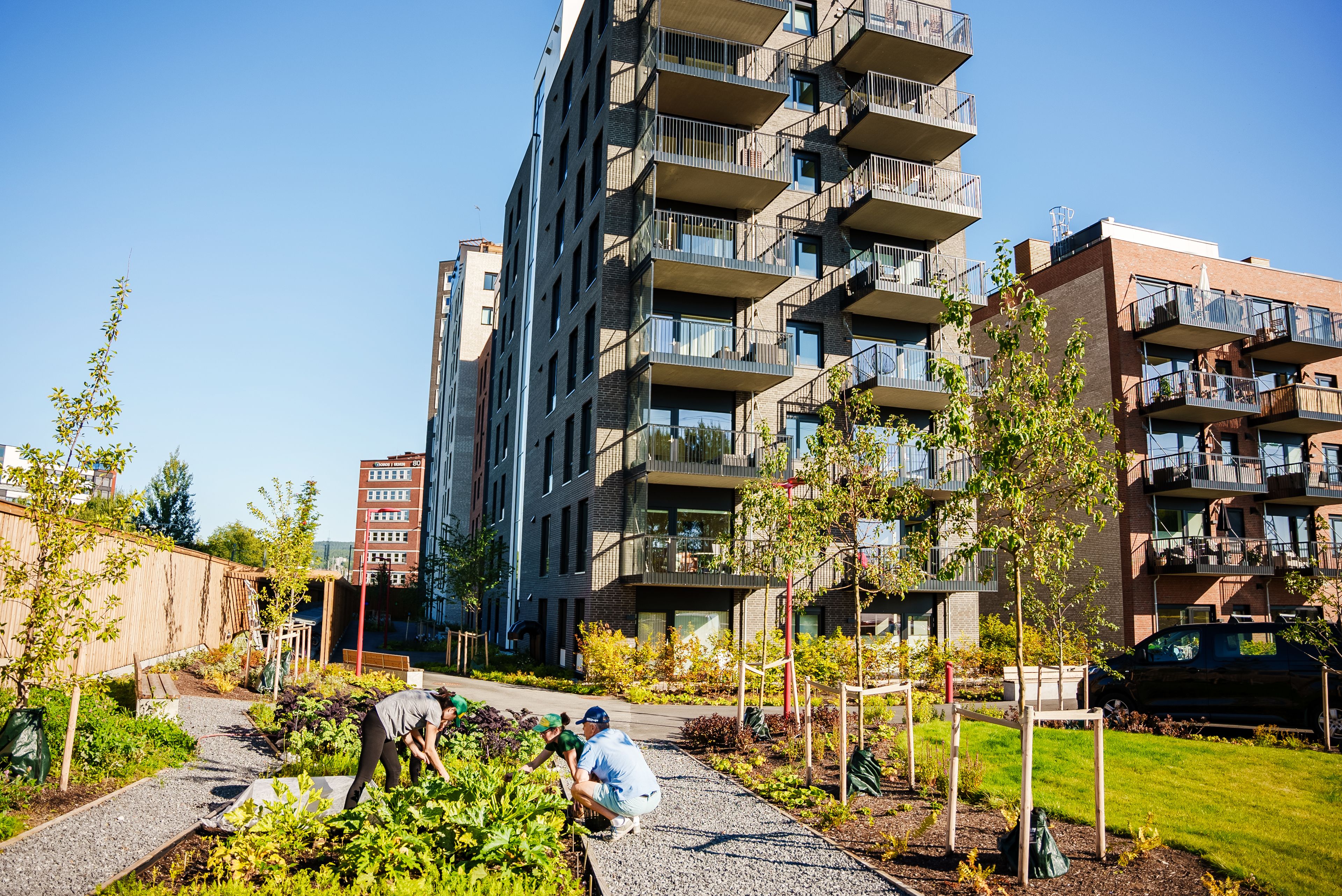 Mennesker som steller med plantekasser utenfor leilighetskompleks på Ulven