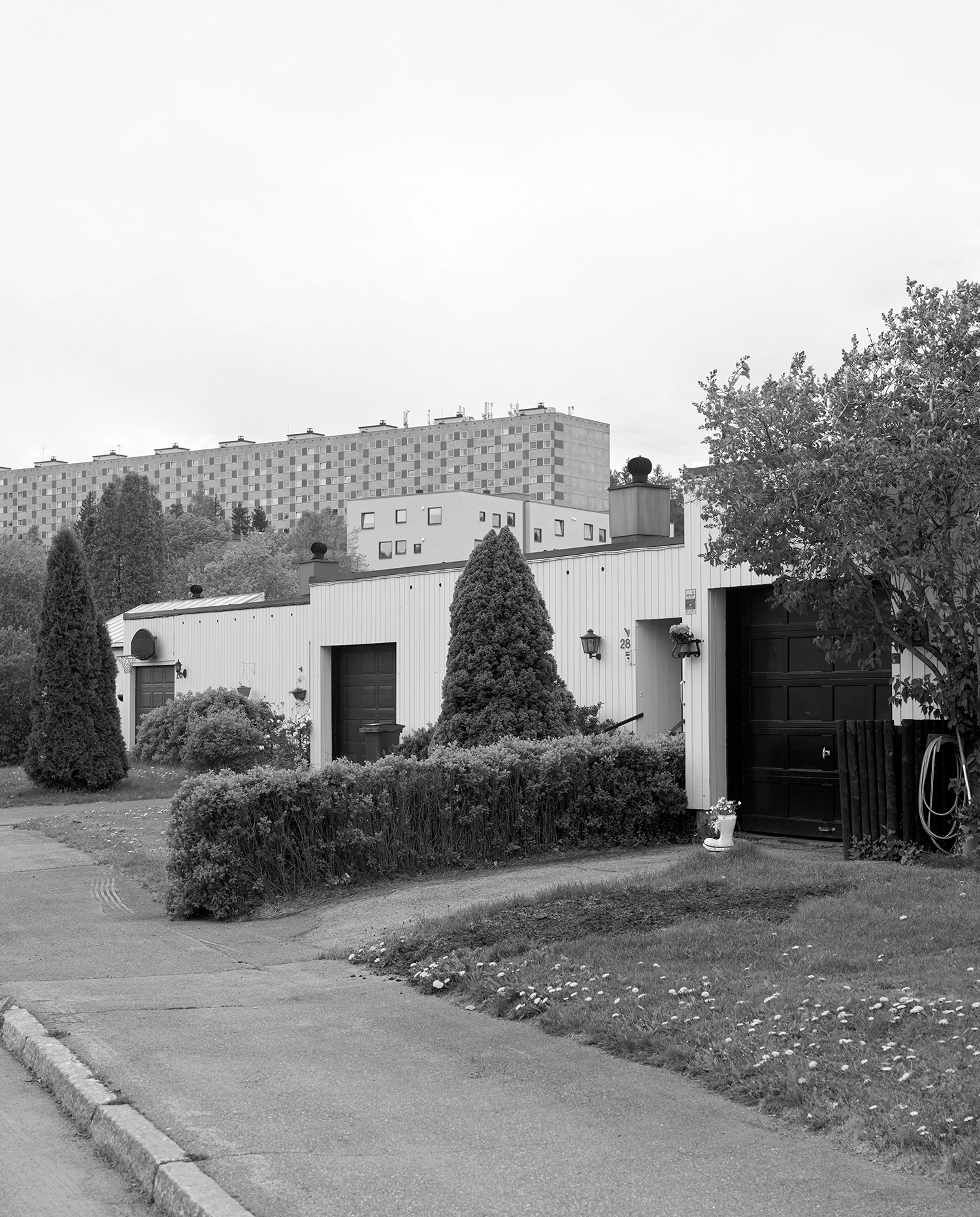 Deler av Alunsjø borettslag og atriumhus med blokker på Ammerud i bakgrunnen.