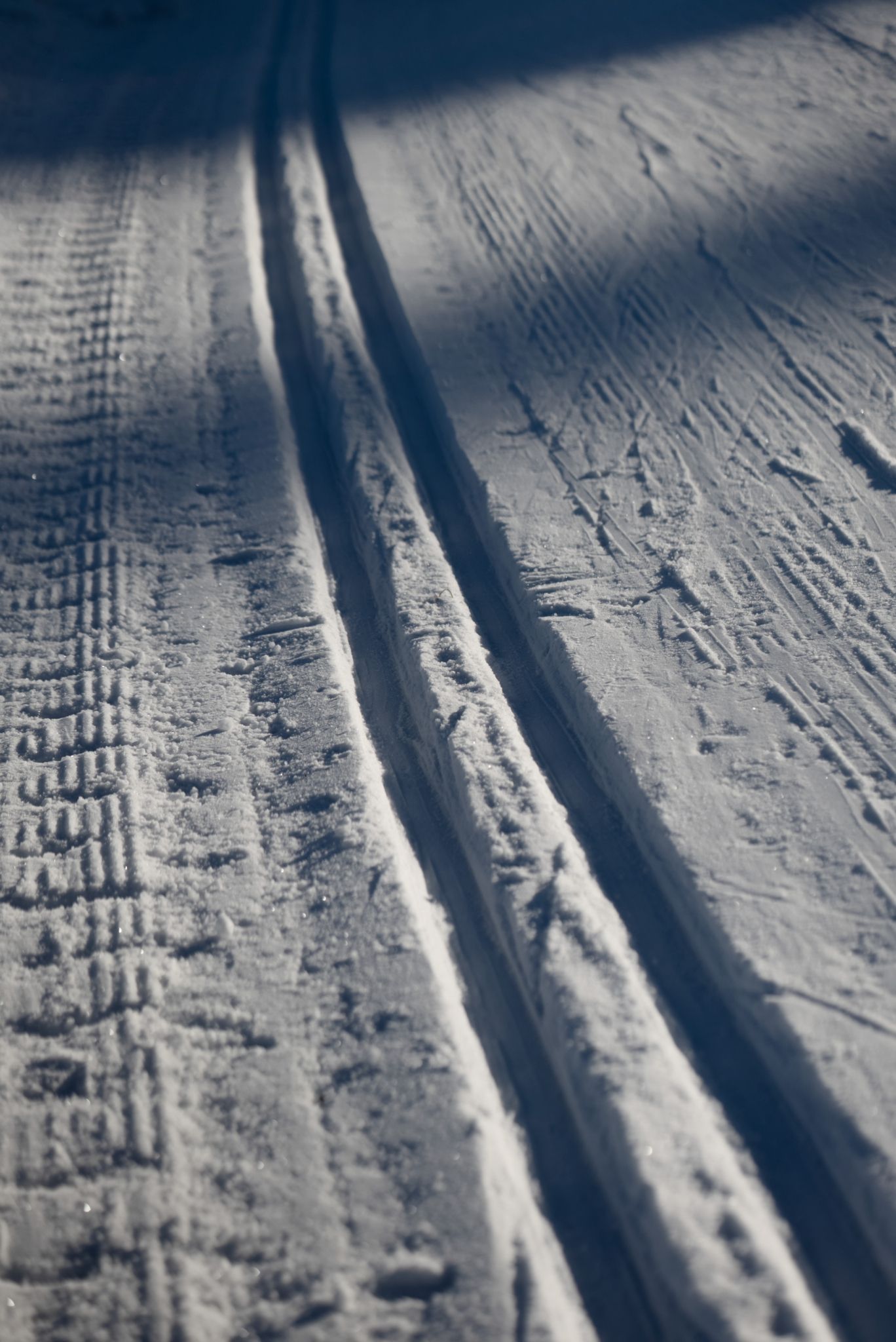 Bildet viser skiløyper.