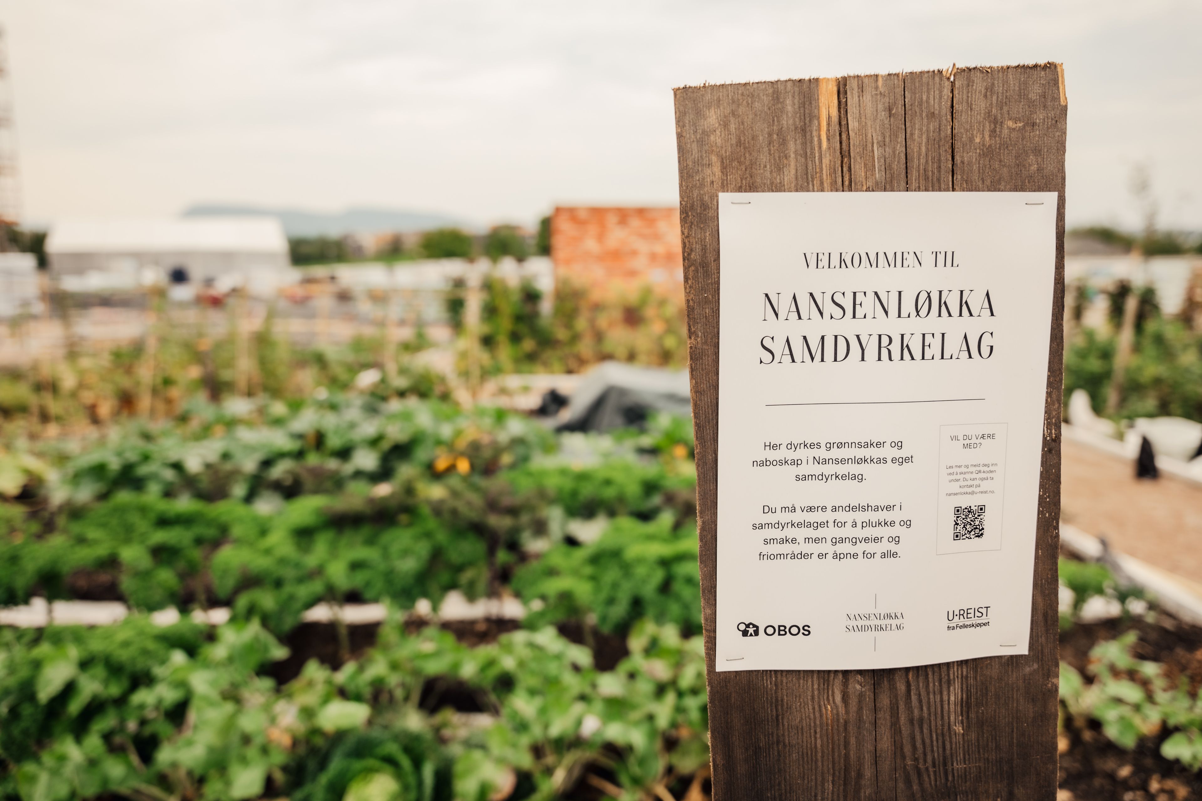 Nansenløkka samdyrkelag.