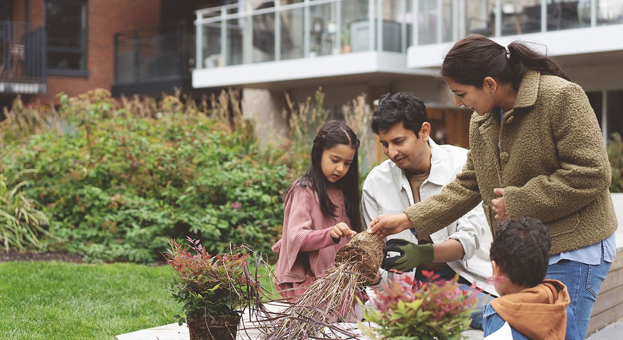 Foto av en familie på fire som planter om planter ute.