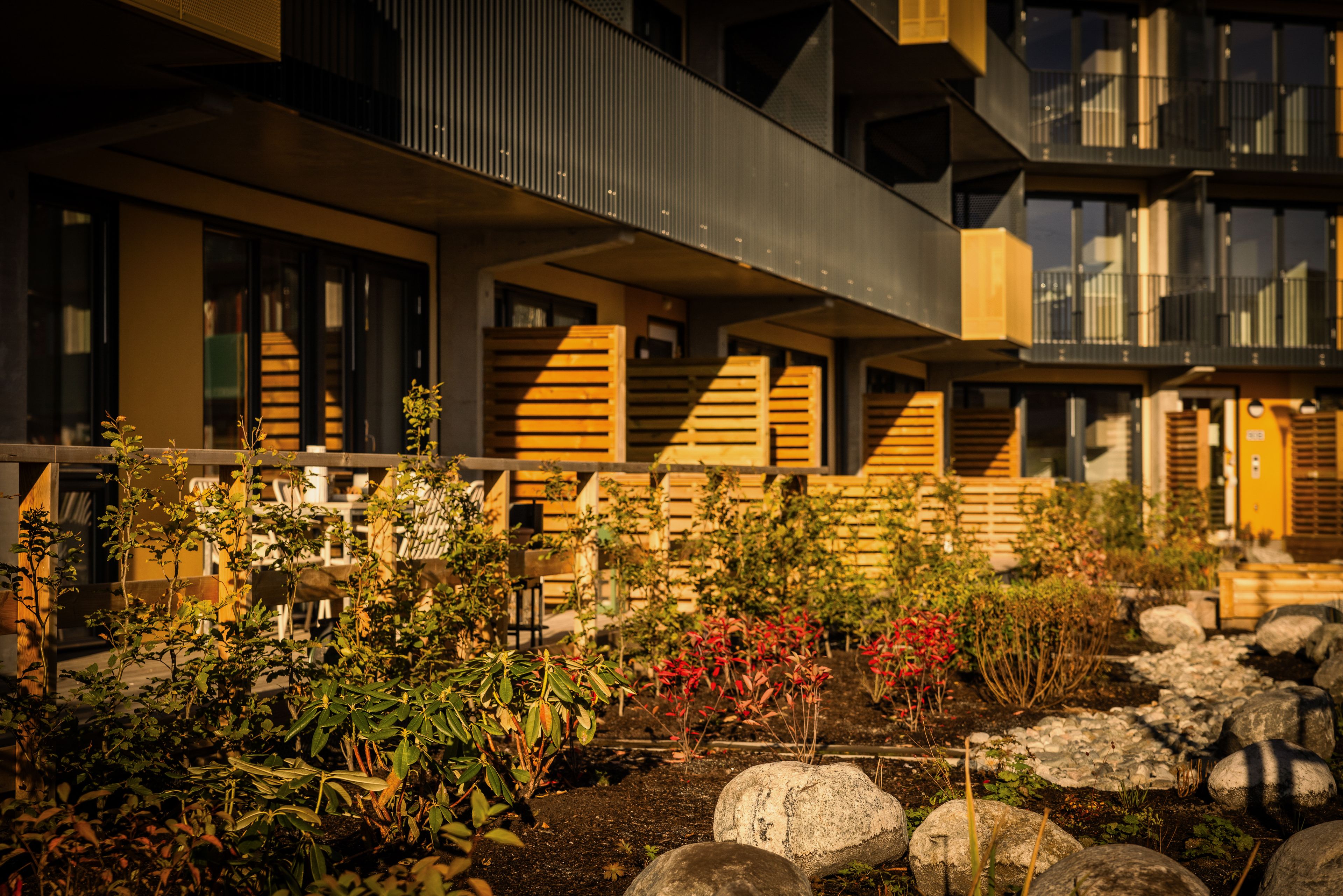 Bed med stauder og steiner foran private terrasser i første etasje i Ulvenkroken.