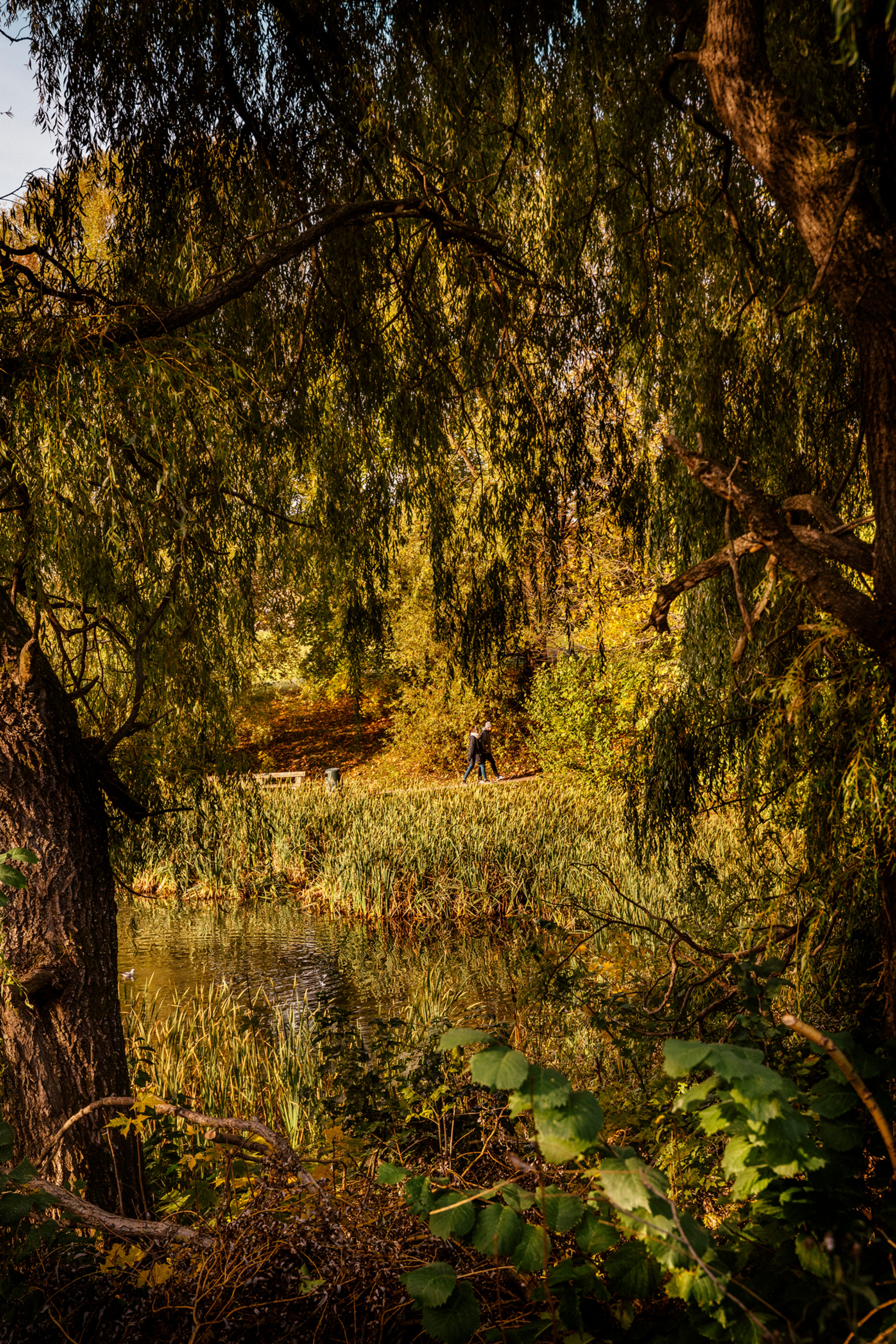 Illustrasjonsfoto av en park i høstfarger.