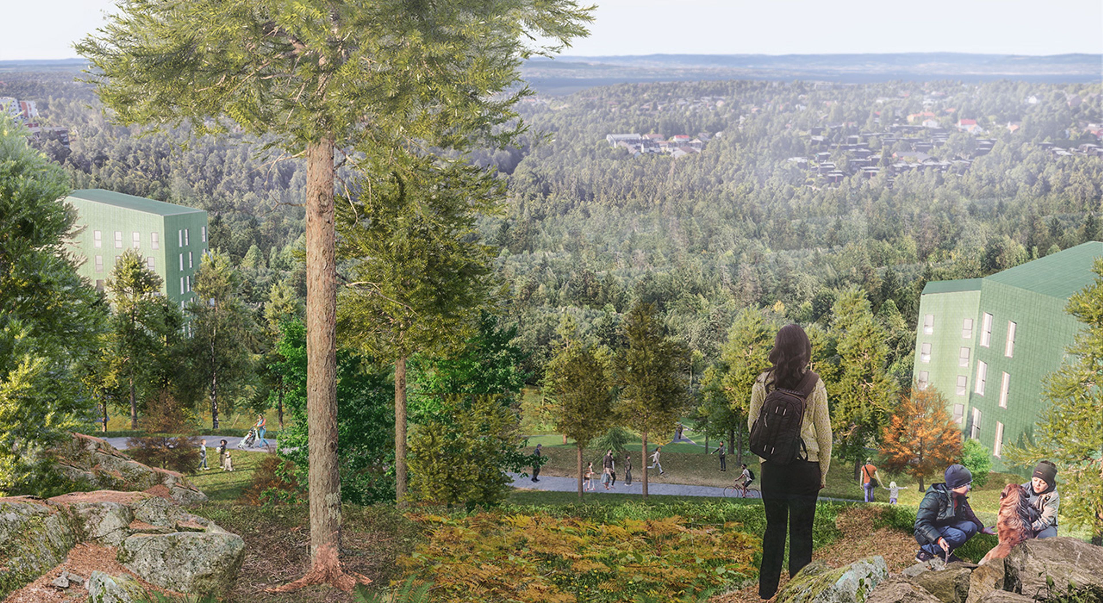 Illustrasjonsbilde av utsikt i Stenbråtveien