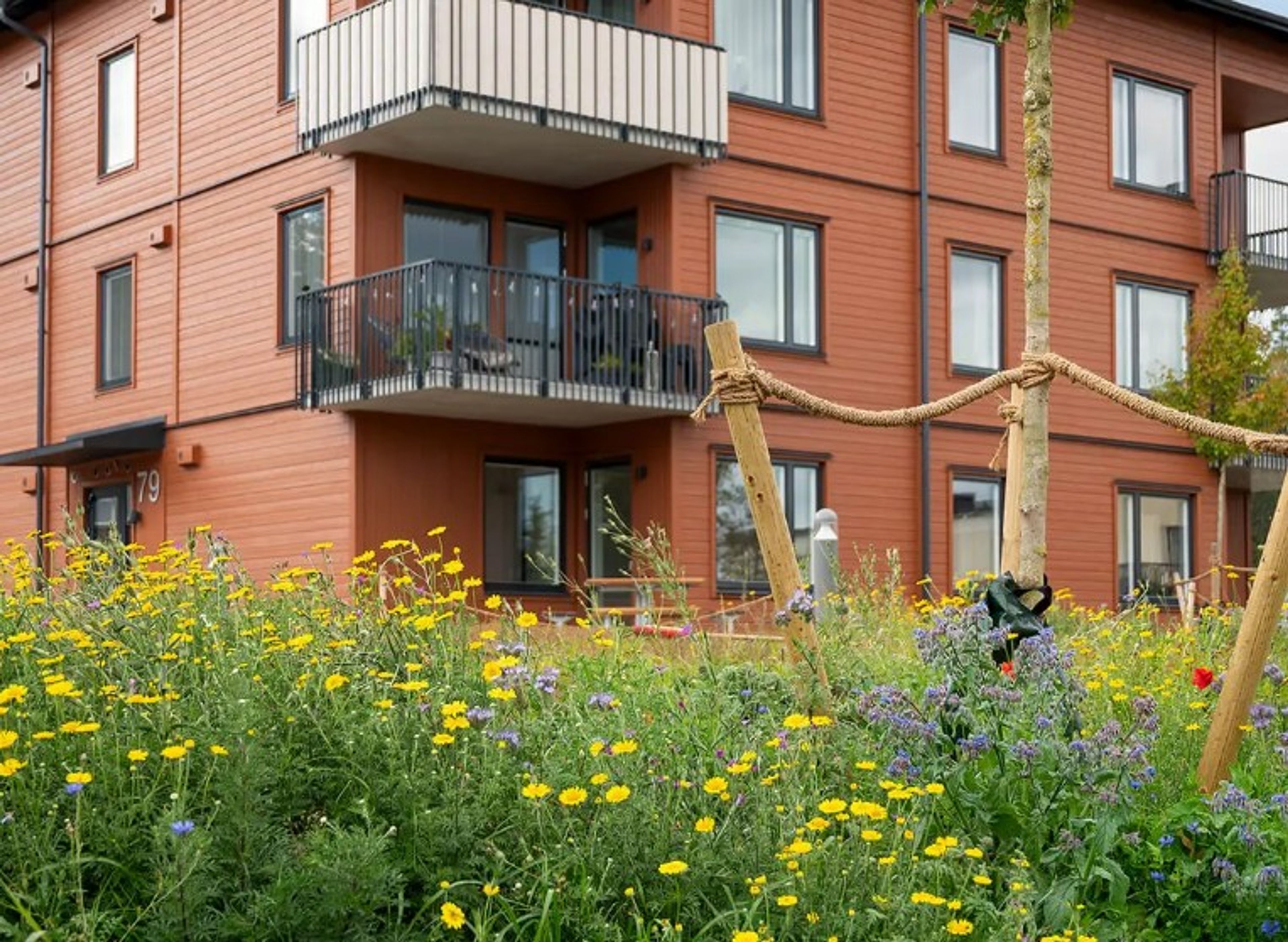 OBOS Ängsblommor projekt